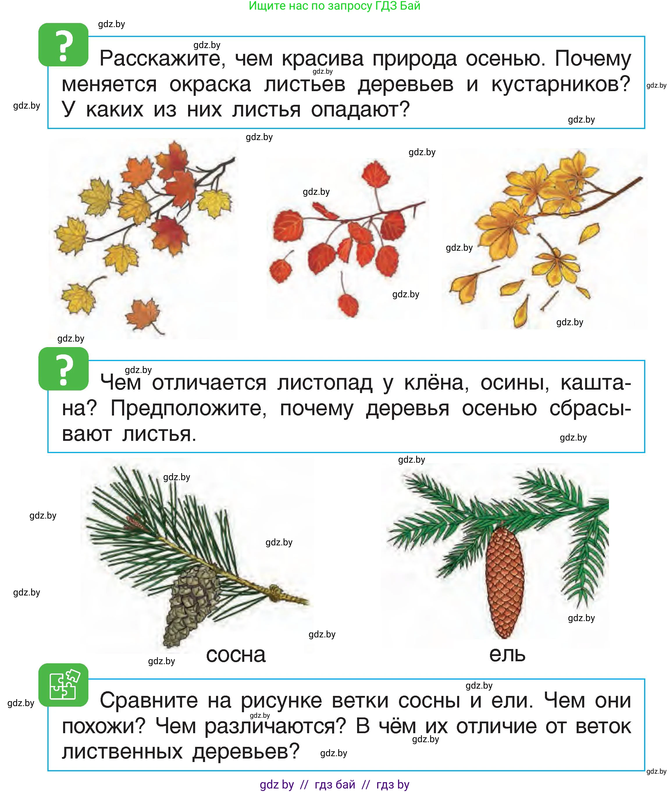 Человек и мир, 1 класс Учебник, авторы: Трафимова Галина Владимировна, Трафимов Сергей Анатольевич, издательство Национальный институт образования, Минск, 2023, салатового цвета, страница 18, Условие