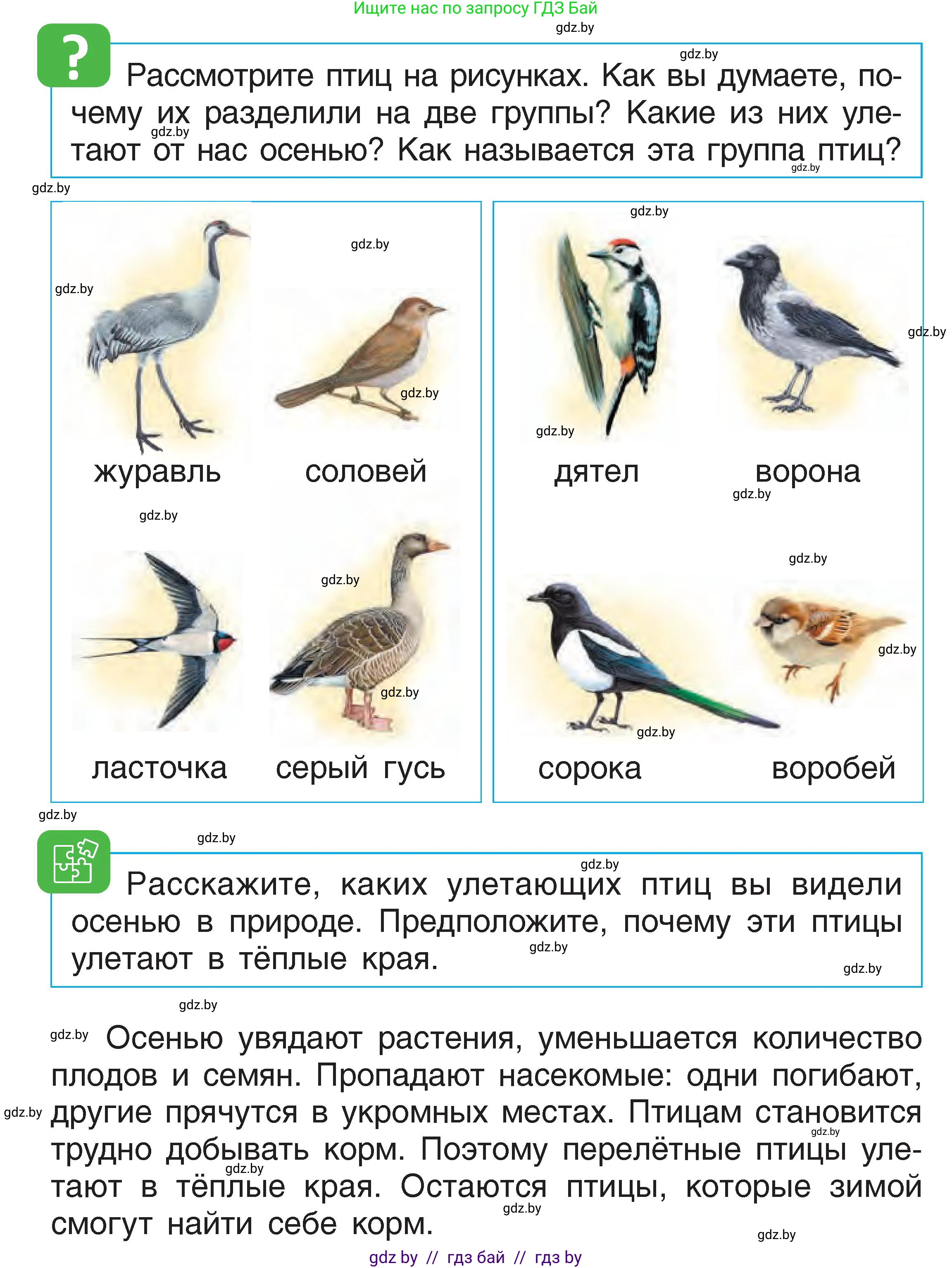 Человек и мир, 1 класс Учебник, авторы: Трафимова Галина Владимировна, Трафимов Сергей Анатольевич, издательство Национальный институт образования, Минск, 2023, салатового цвета, страница 22, Условие