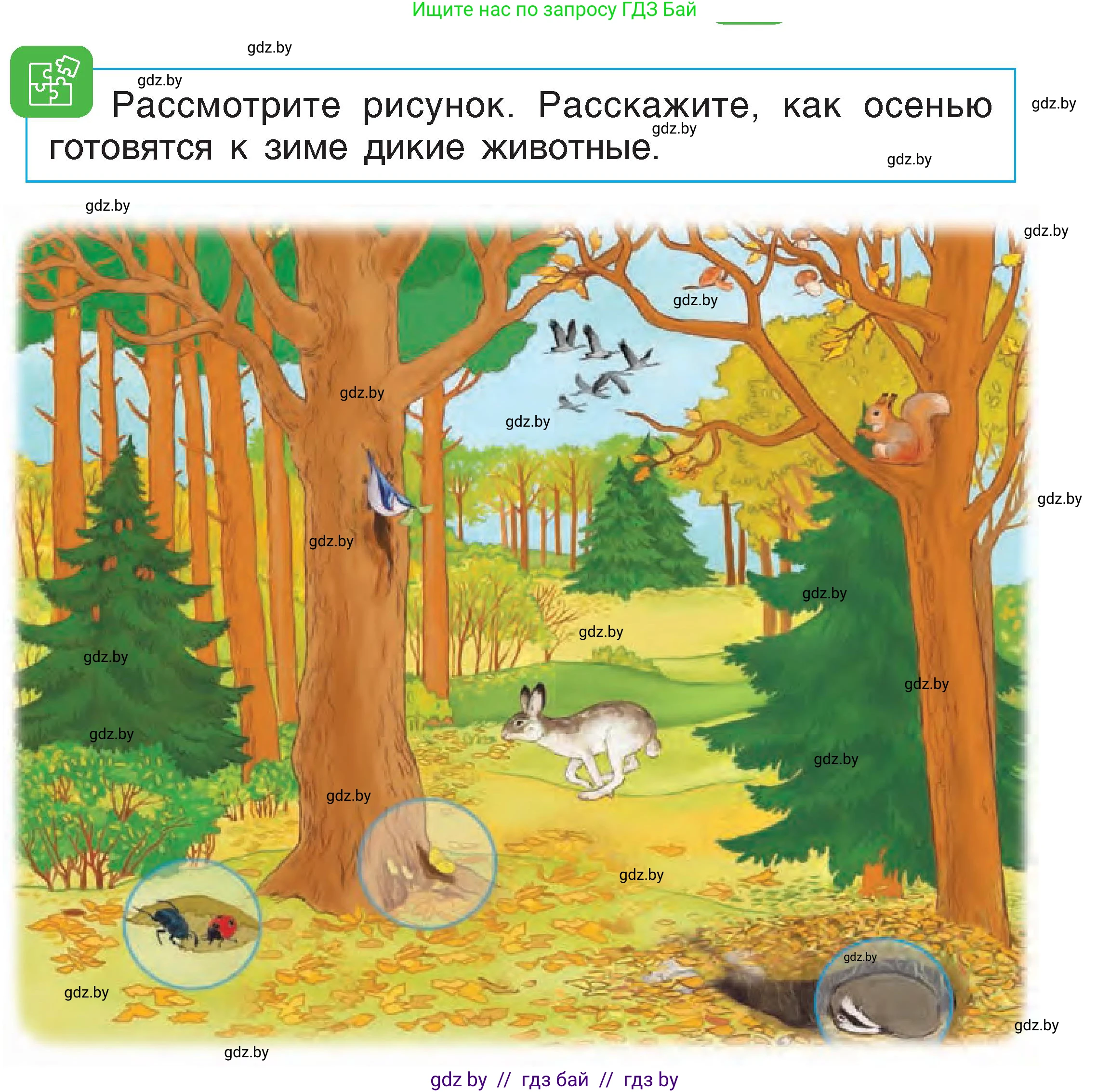 Человек и мир, 1 класс Учебник, авторы: Трафимова Галина Владимировна, Трафимов Сергей Анатольевич, издательство Национальный институт образования, Минск, 2023, салатового цвета, страница 23, Условие