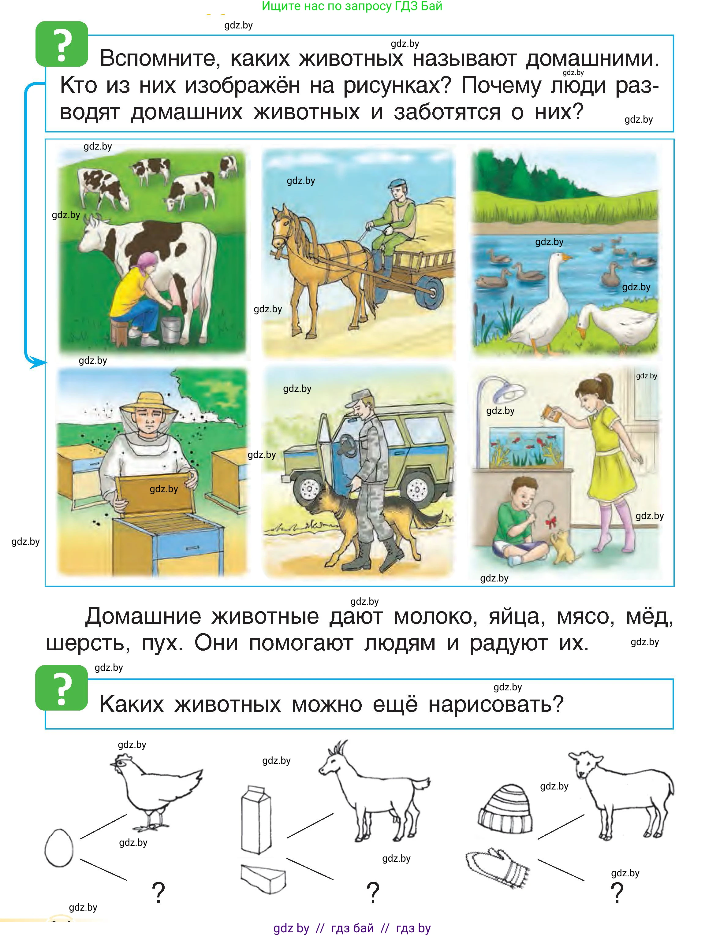 Человек и мир, 1 класс Учебник, авторы: Трафимова Галина Владимировна, Трафимов Сергей Анатольевич, издательство Национальный институт образования, Минск, 2023, салатового цвета, страница 24, Условие