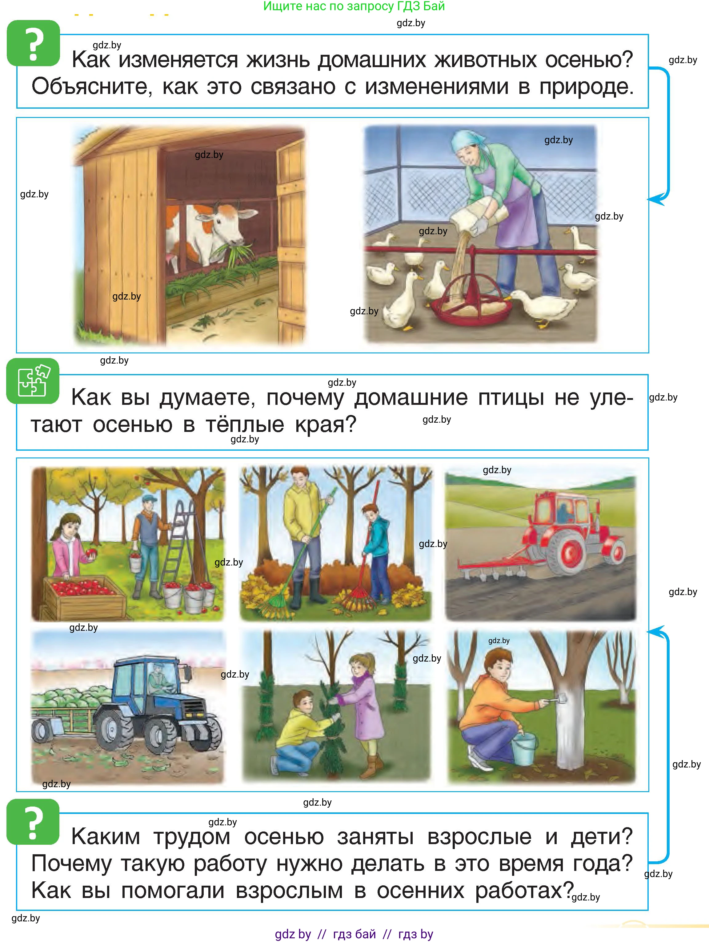 Человек и мир, 1 класс Учебник, авторы: Трафимова Галина Владимировна, Трафимов Сергей Анатольевич, издательство Национальный институт образования, Минск, 2023, салатового цвета, страница 25, Условие