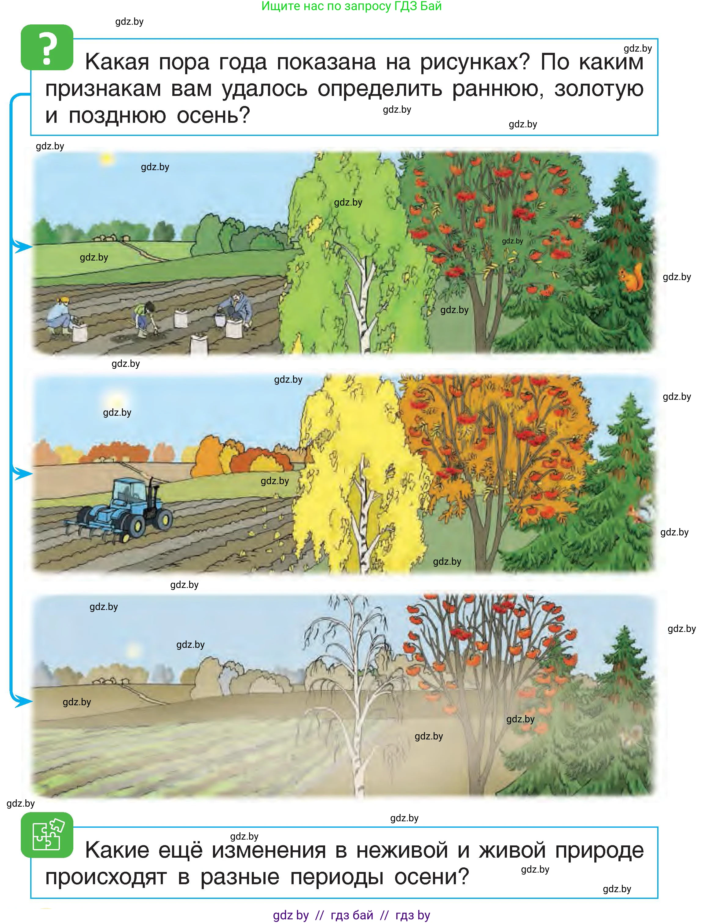 Человек и мир, 1 класс Учебник, авторы: Трафимова Галина Владимировна, Трафимов Сергей Анатольевич, издательство Национальный институт образования, Минск, 2023, салатового цвета, страница 30, Условие