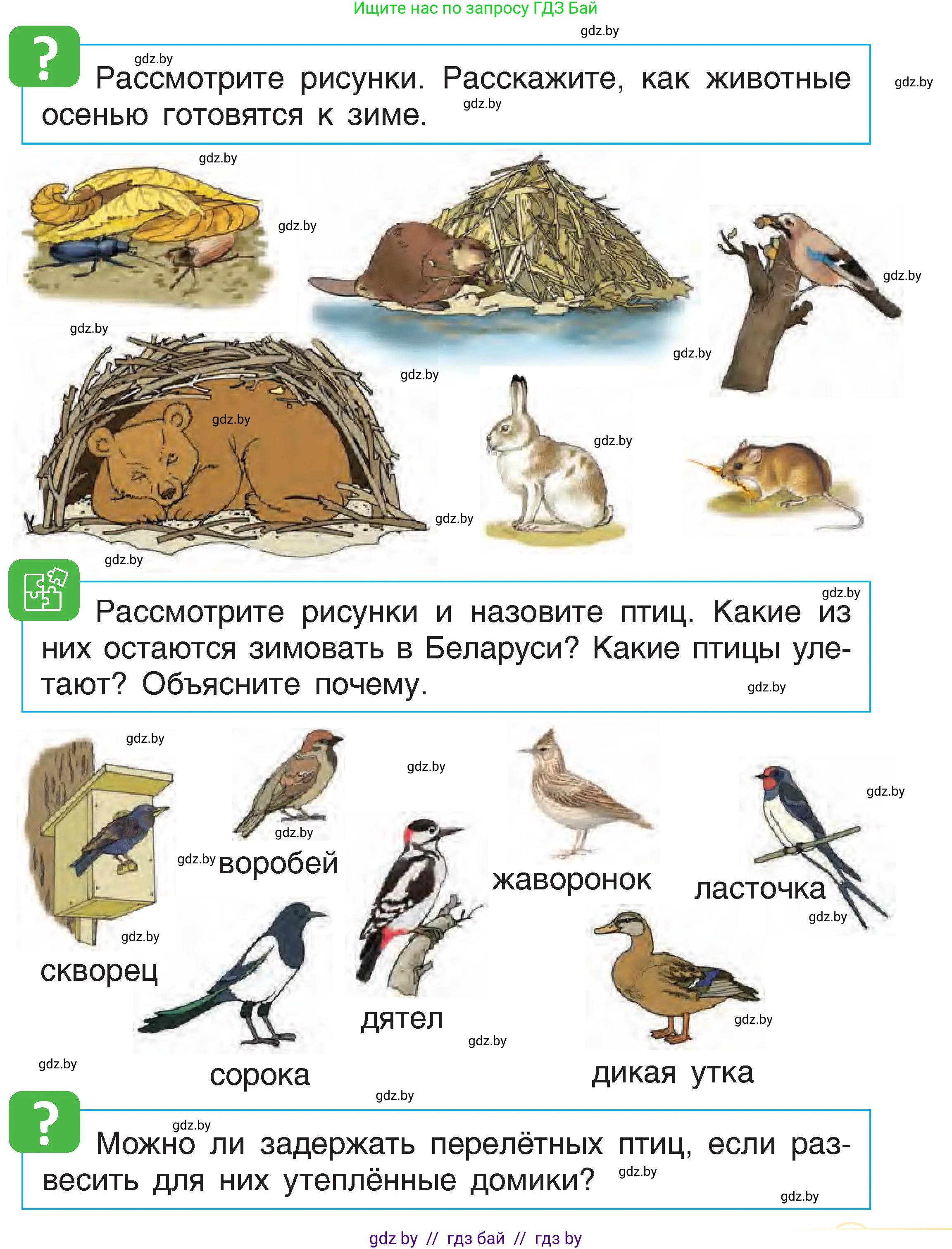 Человек и мир, 1 класс Учебник, авторы: Трафимова Галина Владимировна, Трафимов Сергей Анатольевич, издательство Национальный институт образования, Минск, 2023, салатового цвета, страница 31, Условие