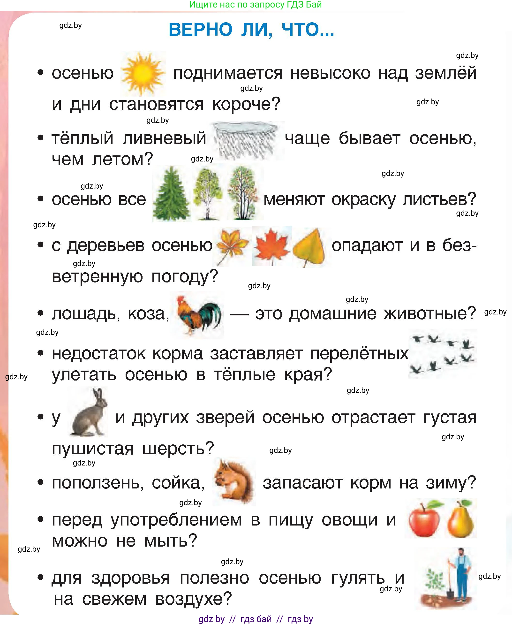 Человек и мир, 1 класс Учебник, авторы: Трафимова Галина Владимировна, Трафимов Сергей Анатольевич, издательство Национальный институт образования, Минск, 2023, салатового цвета, страница 32, Условие