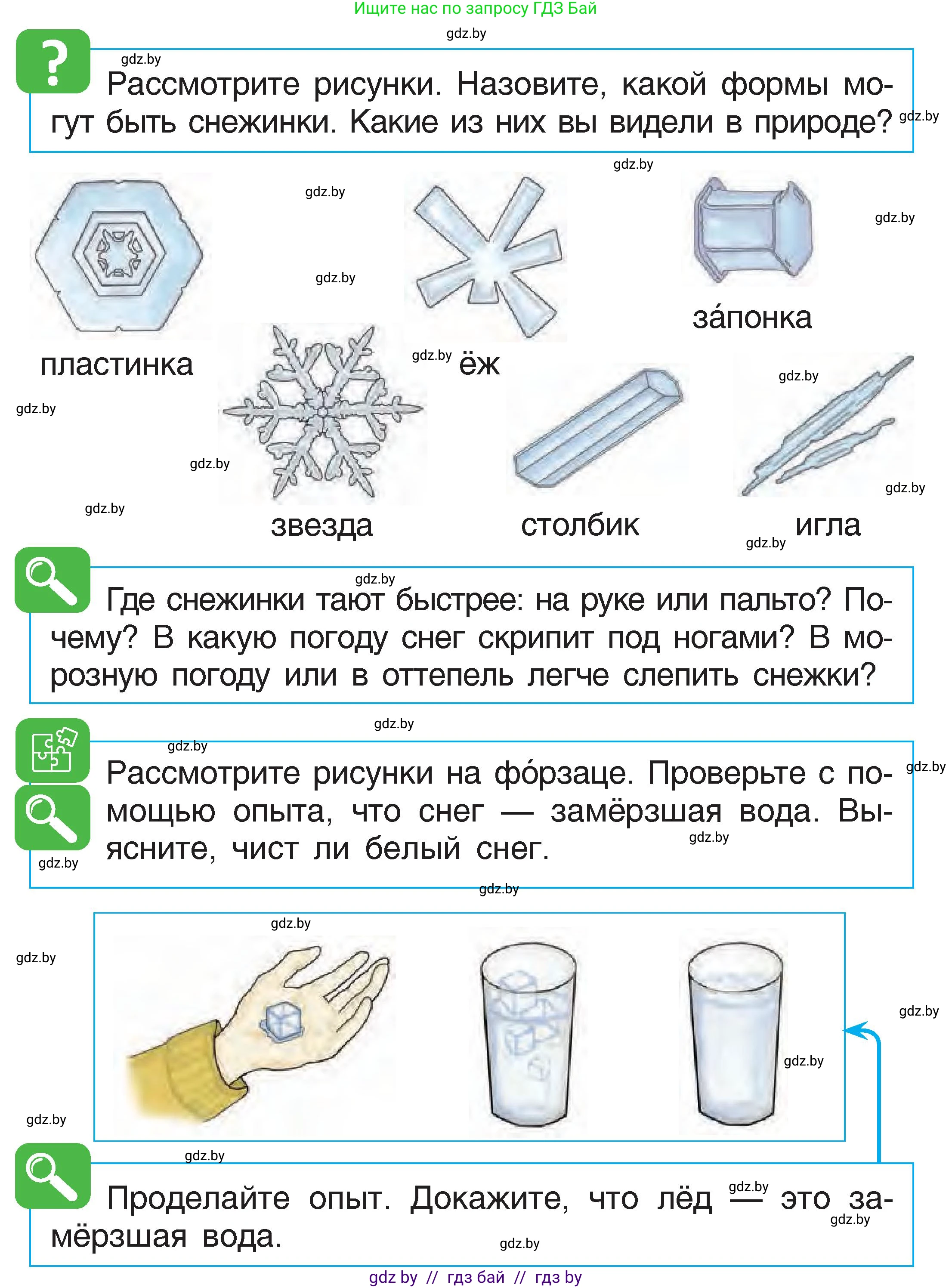 Человек и мир, 1 класс Учебник, авторы: Трафимова Галина Владимировна, Трафимов Сергей Анатольевич, издательство Национальный институт образования, Минск, 2023, салатового цвета, страница 35, Условие