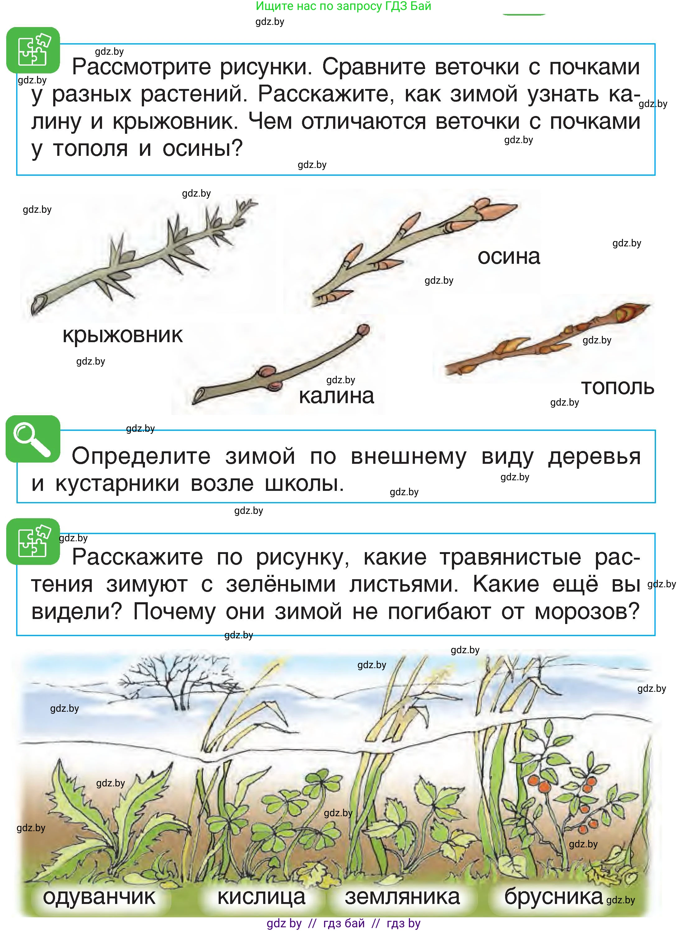 Человек и мир, 1 класс Учебник, авторы: Трафимова Галина Владимировна, Трафимов Сергей Анатольевич, издательство Национальный институт образования, Минск, 2023, салатового цвета, страница 37, Условие