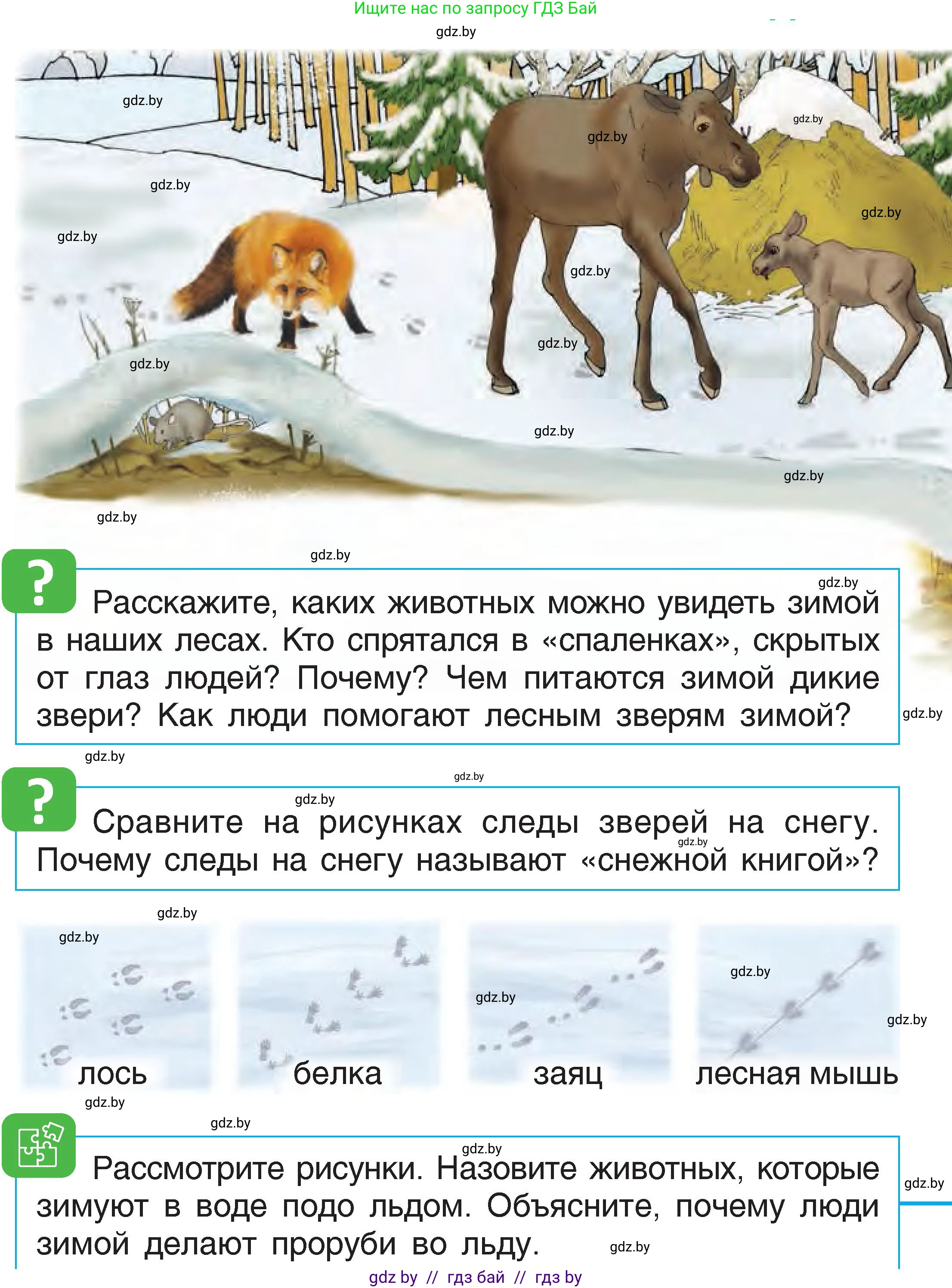 Человек и мир, 1 класс Учебник, авторы: Трафимова Галина Владимировна, Трафимов Сергей Анатольевич, издательство Национальный институт образования, Минск, 2023, салатового цвета, страница 38, Условие