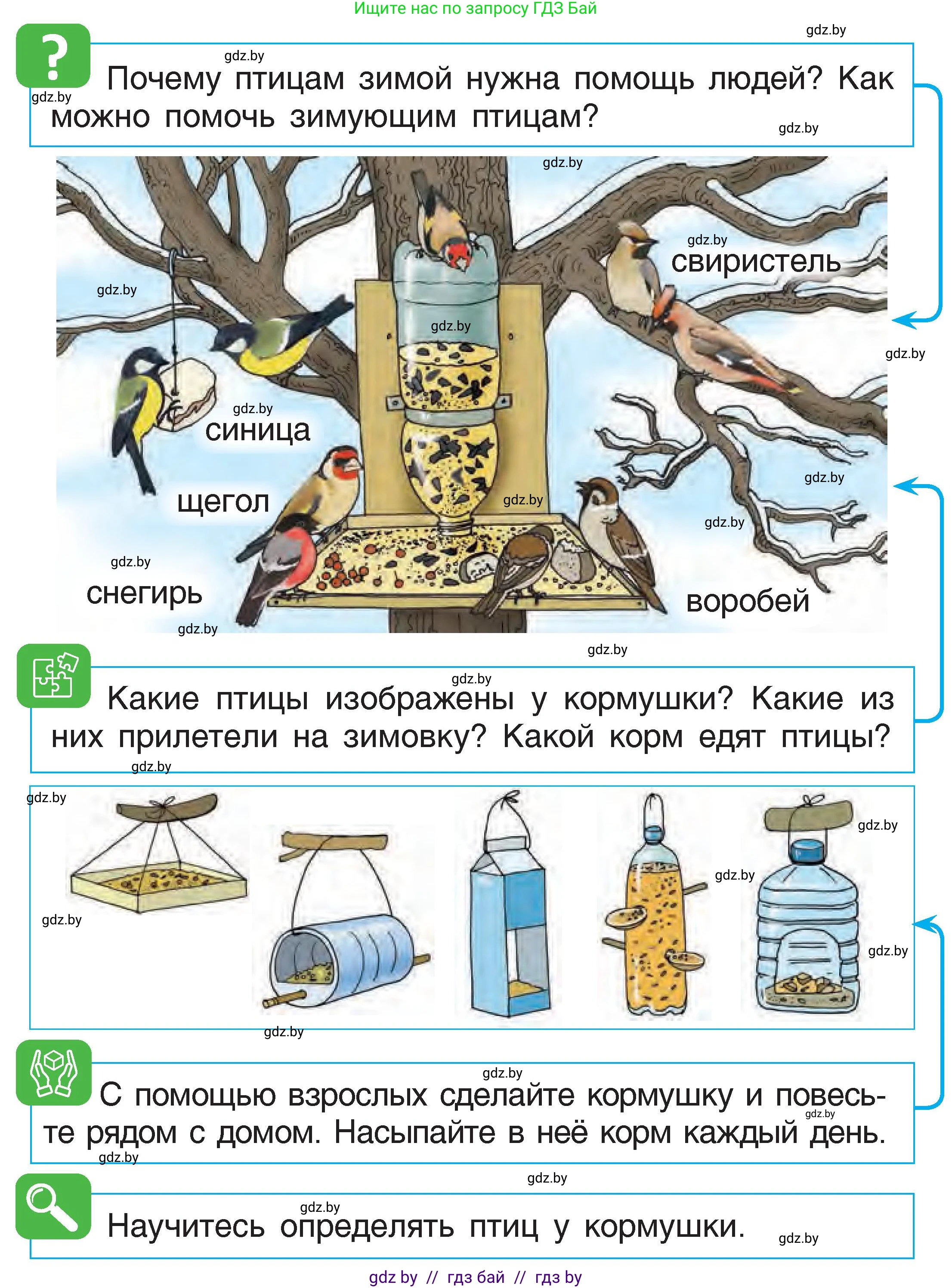 Человек и мир, 1 класс Учебник, авторы: Трафимова Галина Владимировна, Трафимов Сергей Анатольевич, издательство Национальный институт образования, Минск, 2023, салатового цвета, страница 41, Условие