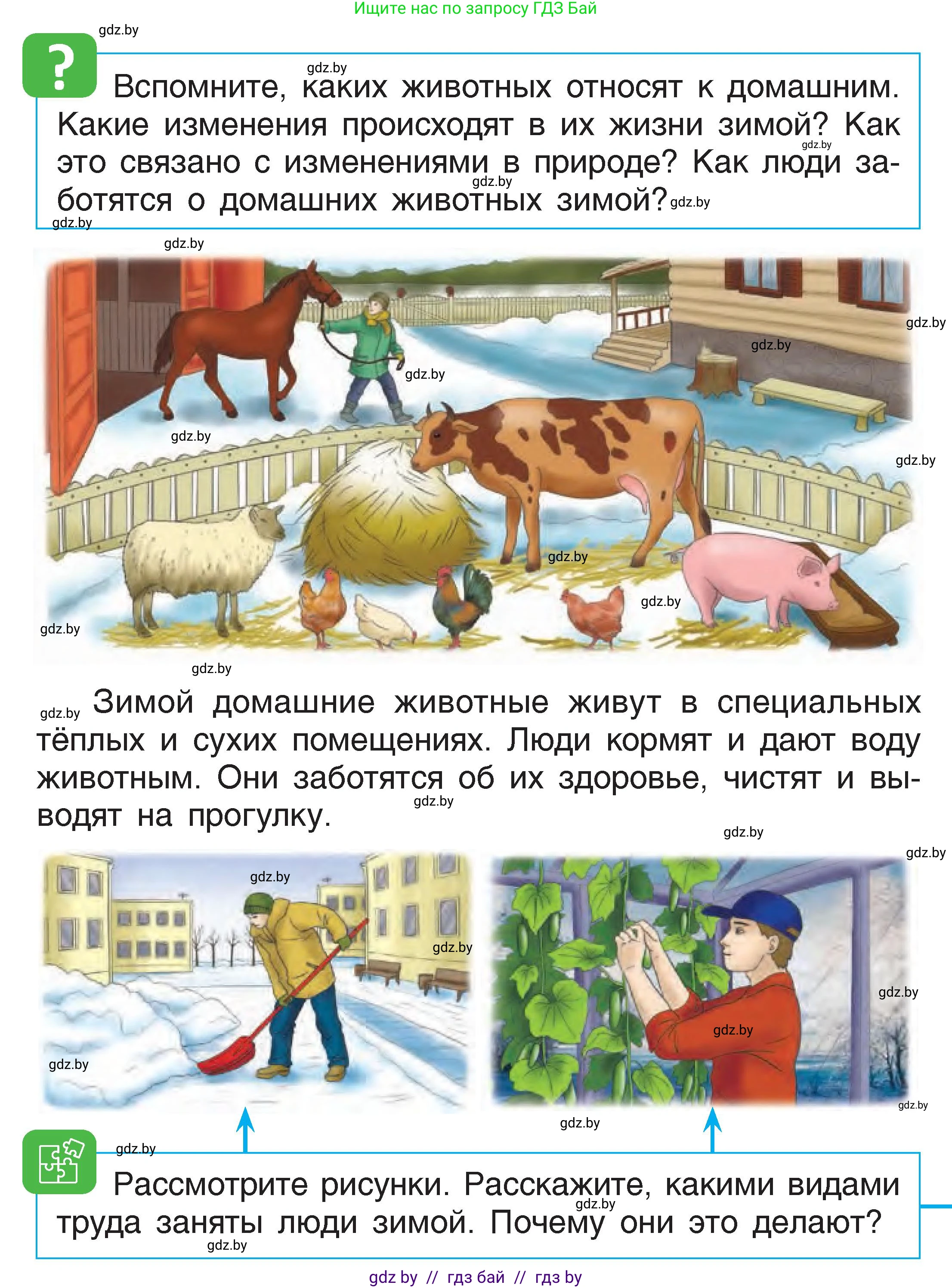 Человек и мир, 1 класс Учебник, авторы: Трафимова Галина Владимировна, Трафимов Сергей Анатольевич, издательство Национальный институт образования, Минск, 2023, салатового цвета, страница 42, Условие