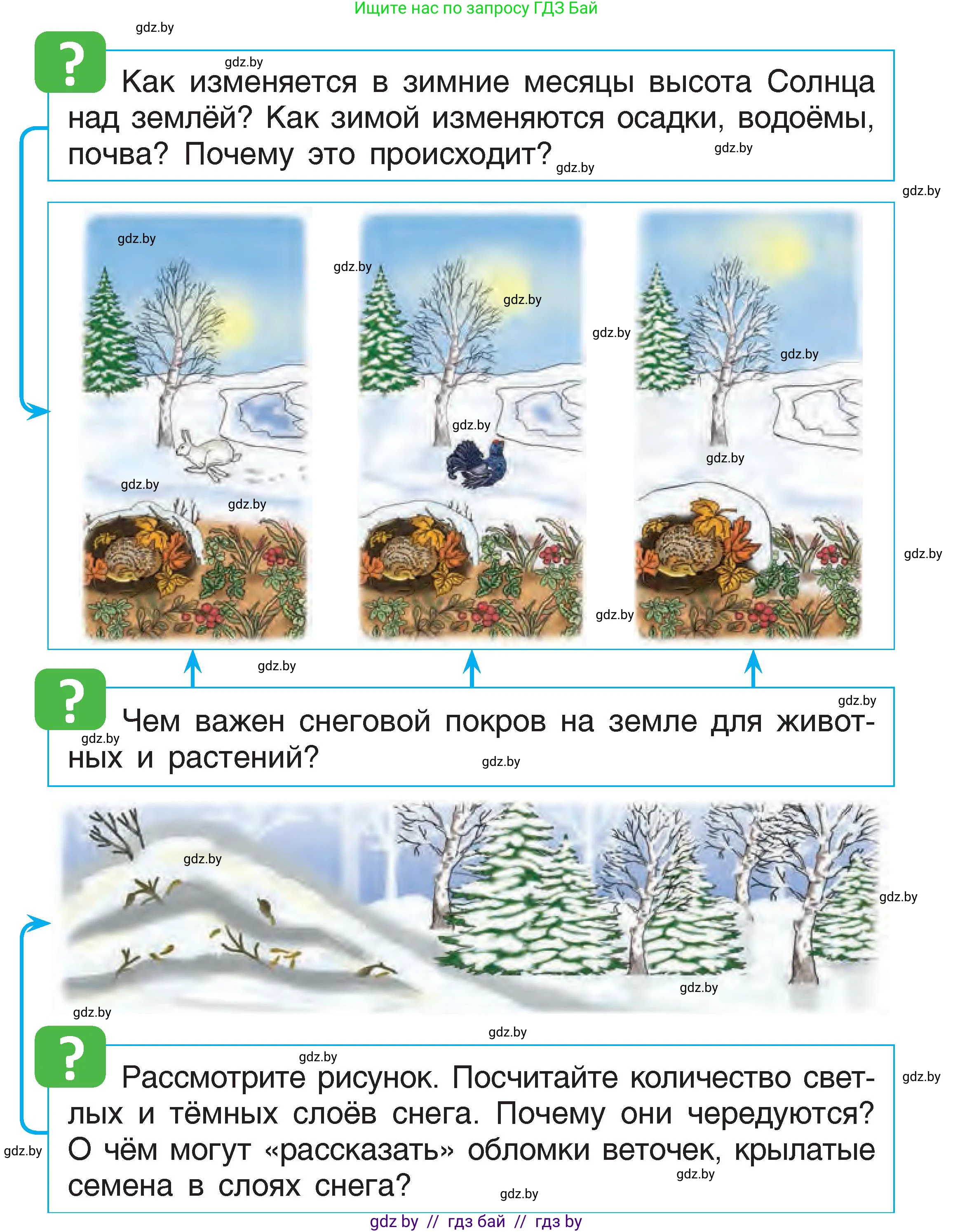 Человек и мир, 1 класс Учебник, авторы: Трафимова Галина Владимировна, Трафимов Сергей Анатольевич, издательство Национальный институт образования, Минск, 2023, салатового цвета, страница 46, Условие