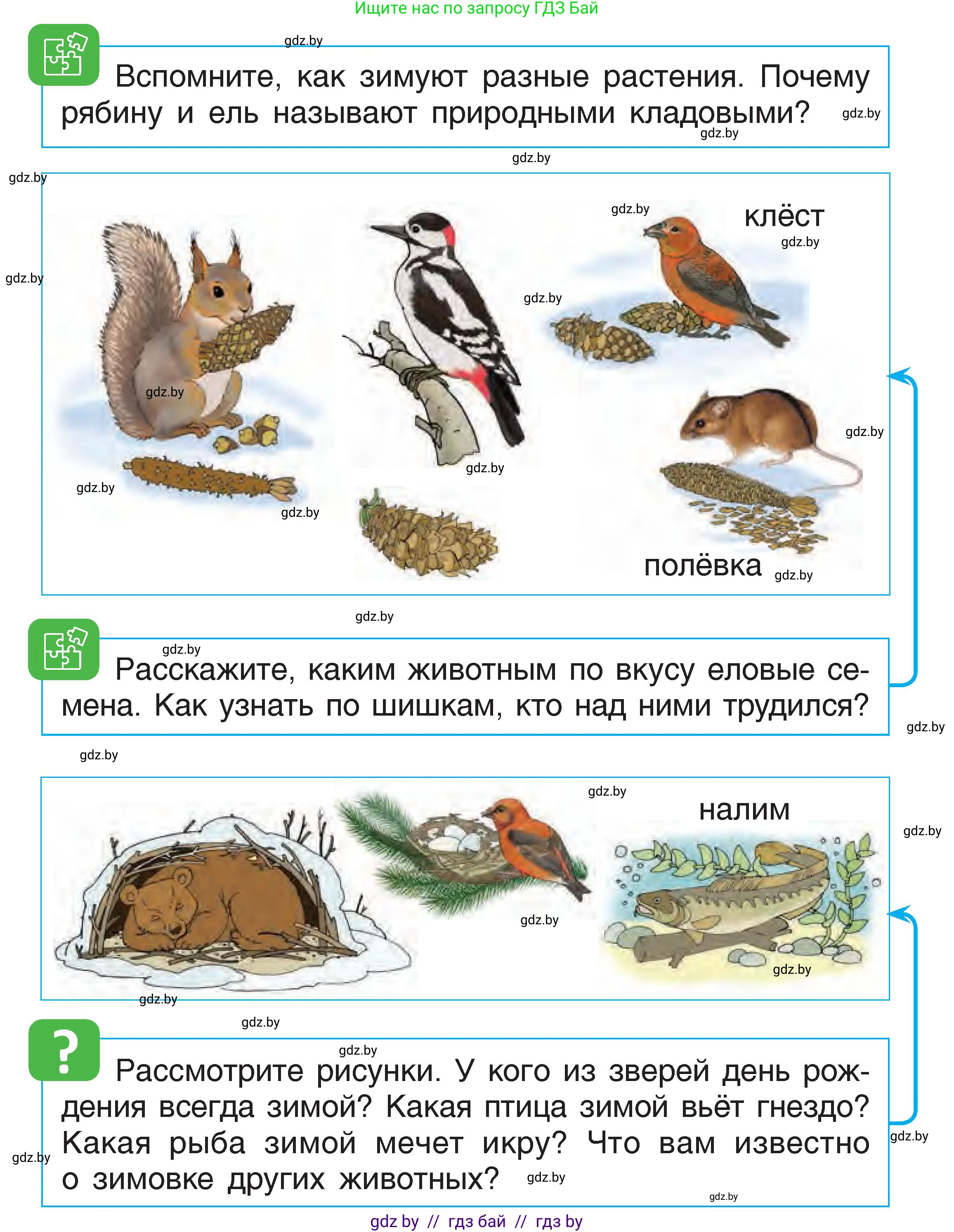 Человек и мир, 1 класс Учебник, авторы: Трафимова Галина Владимировна, Трафимов Сергей Анатольевич, издательство Национальный институт образования, Минск, 2023, салатового цвета, страница 47, Условие