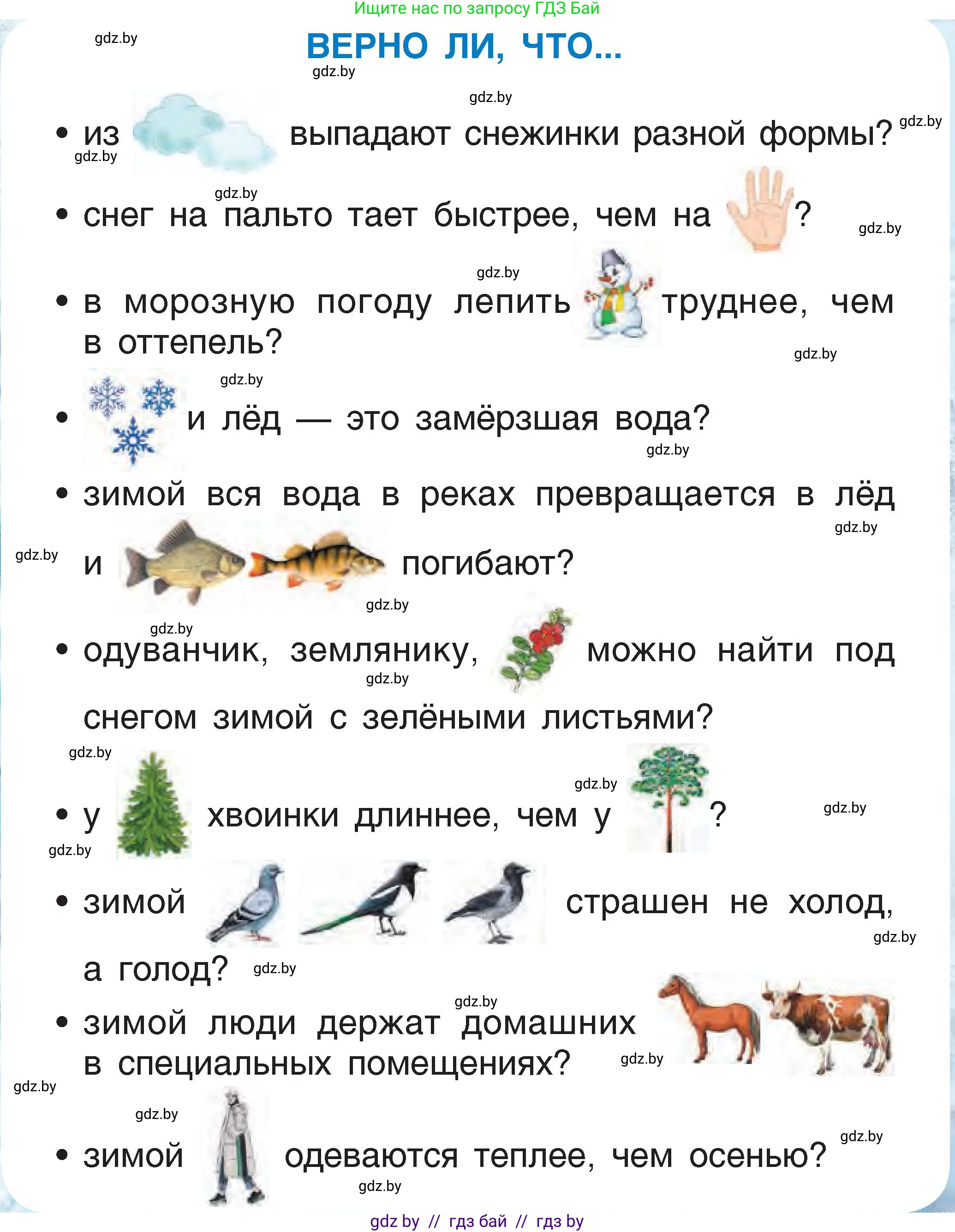 Человек и мир, 1 класс Учебник, авторы: Трафимова Галина Владимировна, Трафимов Сергей Анатольевич, издательство Национальный институт образования, Минск, 2023, салатового цвета, страница 48, Условие