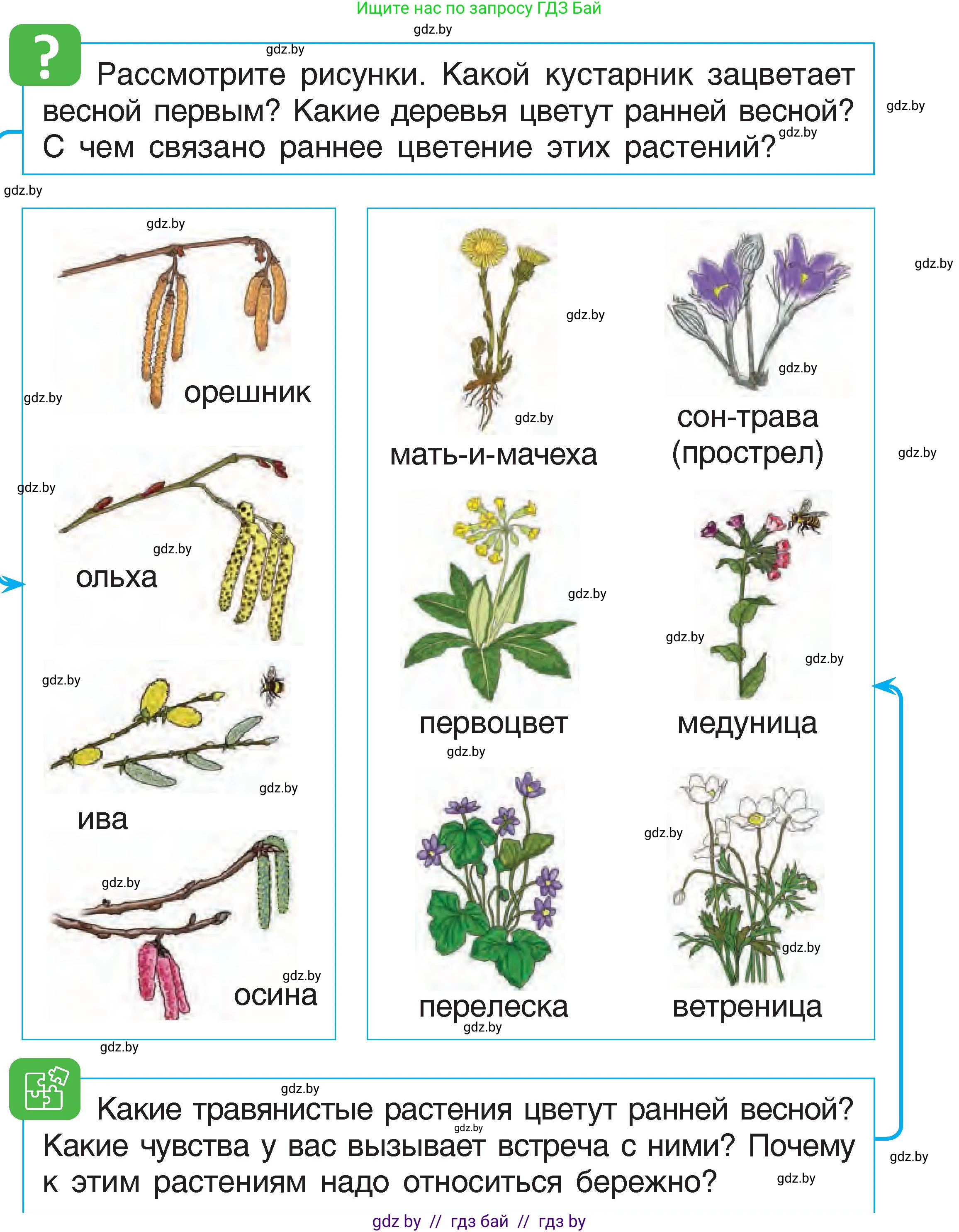 Человек и мир, 1 класс Учебник, авторы: Трафимова Галина Владимировна, Трафимов Сергей Анатольевич, издательство Национальный институт образования, Минск, 2023, салатового цвета, страница 63, Условие