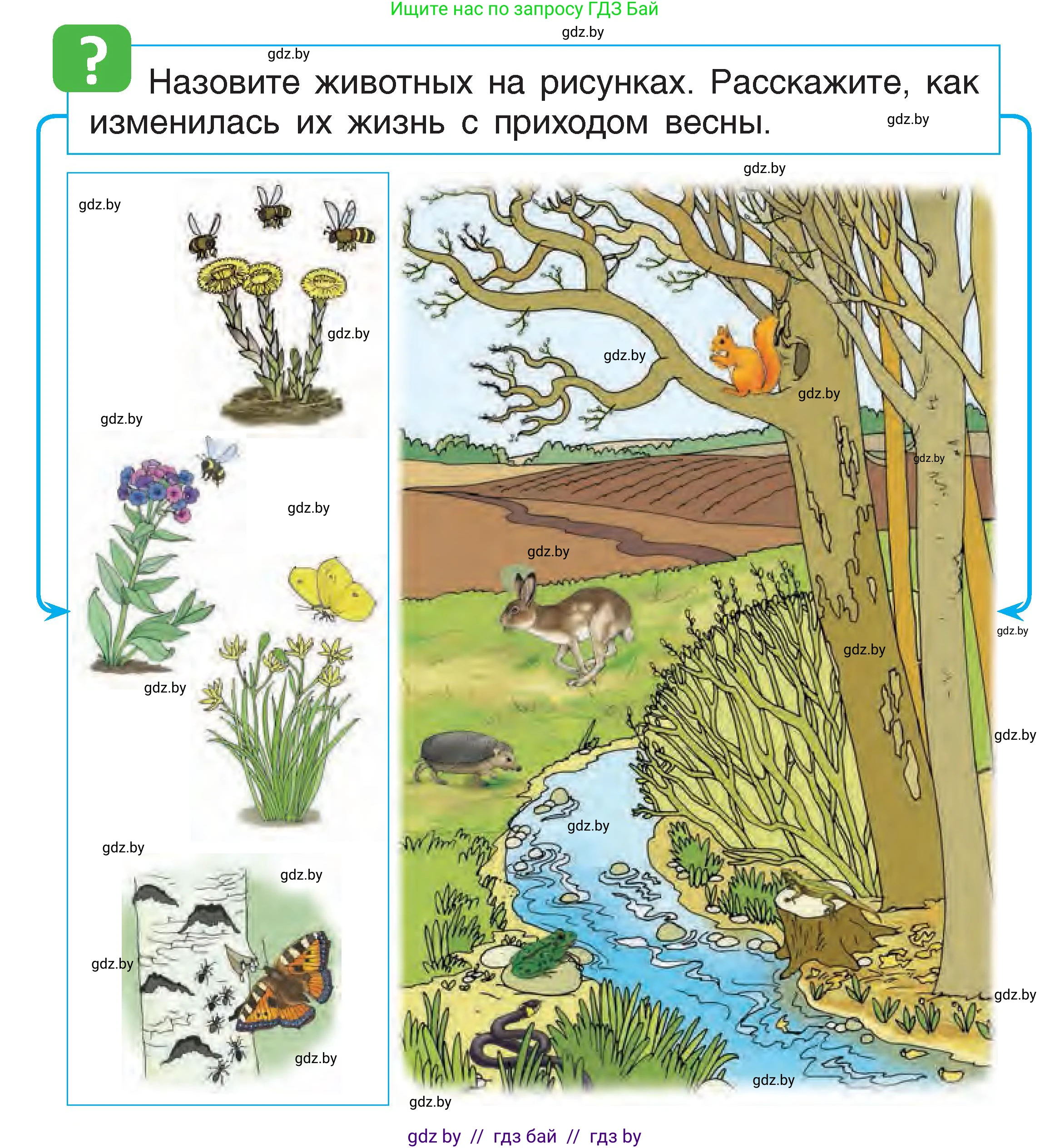 Человек и мир, 1 класс Учебник, авторы: Трафимова Галина Владимировна, Трафимов Сергей Анатольевич, издательство Национальный институт образования, Минск, 2023, салатового цвета, страница 64, Условие