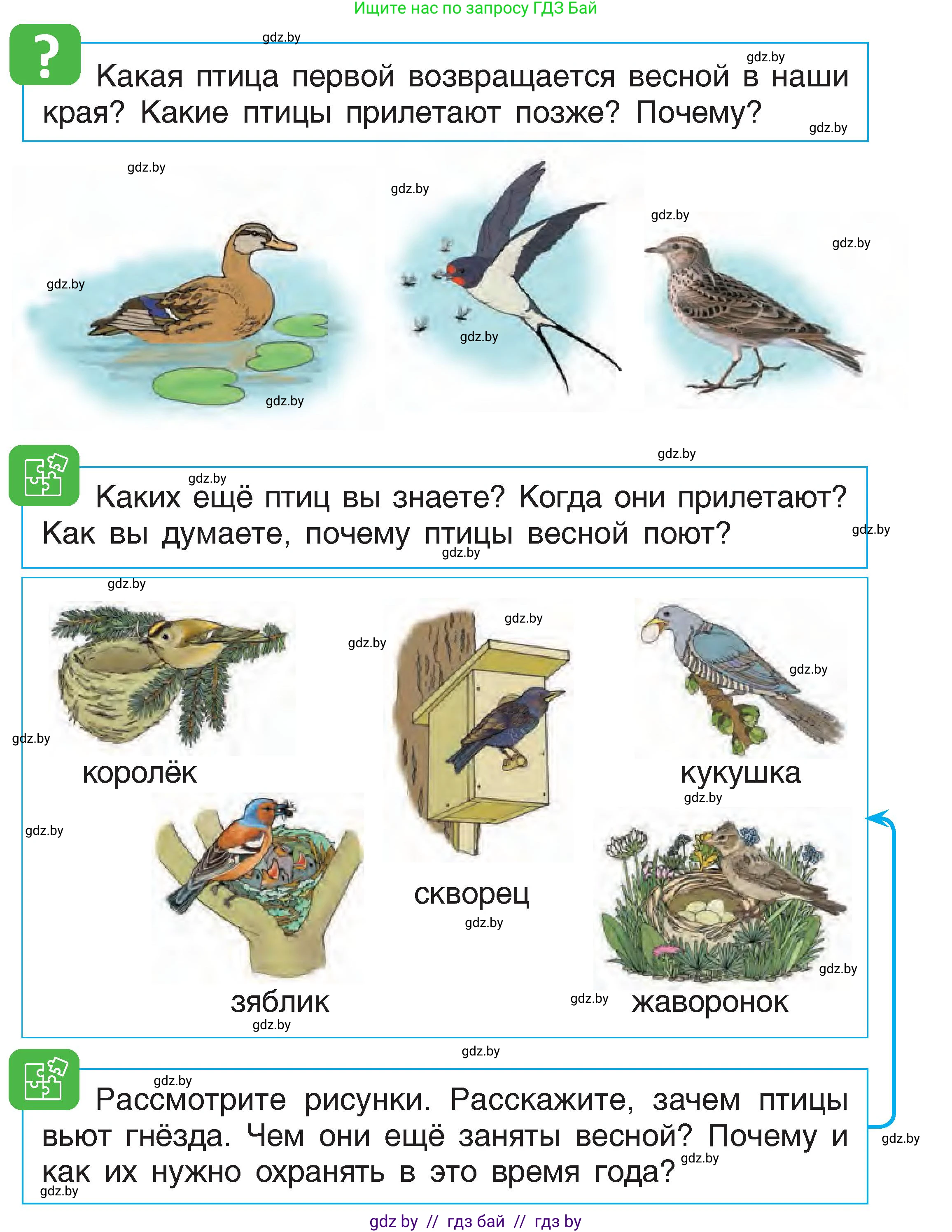 Человек и мир, 1 класс Учебник, авторы: Трафимова Галина Владимировна, Трафимов Сергей Анатольевич, издательство Национальный институт образования, Минск, 2023, салатового цвета, страница 65, Условие