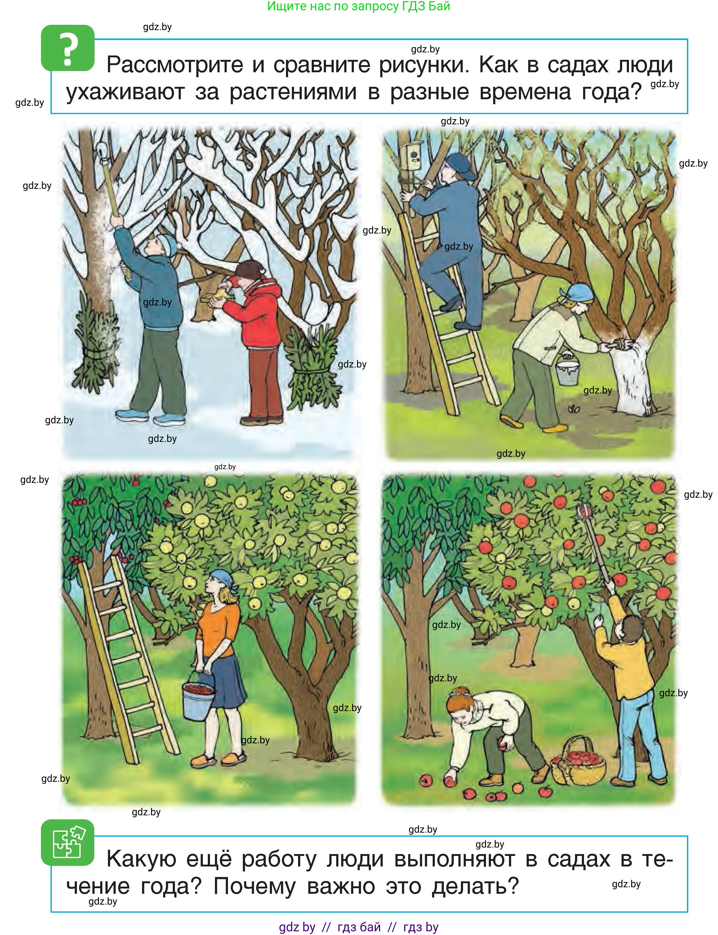 Человек и мир, 1 класс Учебник, авторы: Трафимова Галина Владимировна, Трафимов Сергей Анатольевич, издательство Национальный институт образования, Минск, 2023, салатового цвета, страница 78, Условие