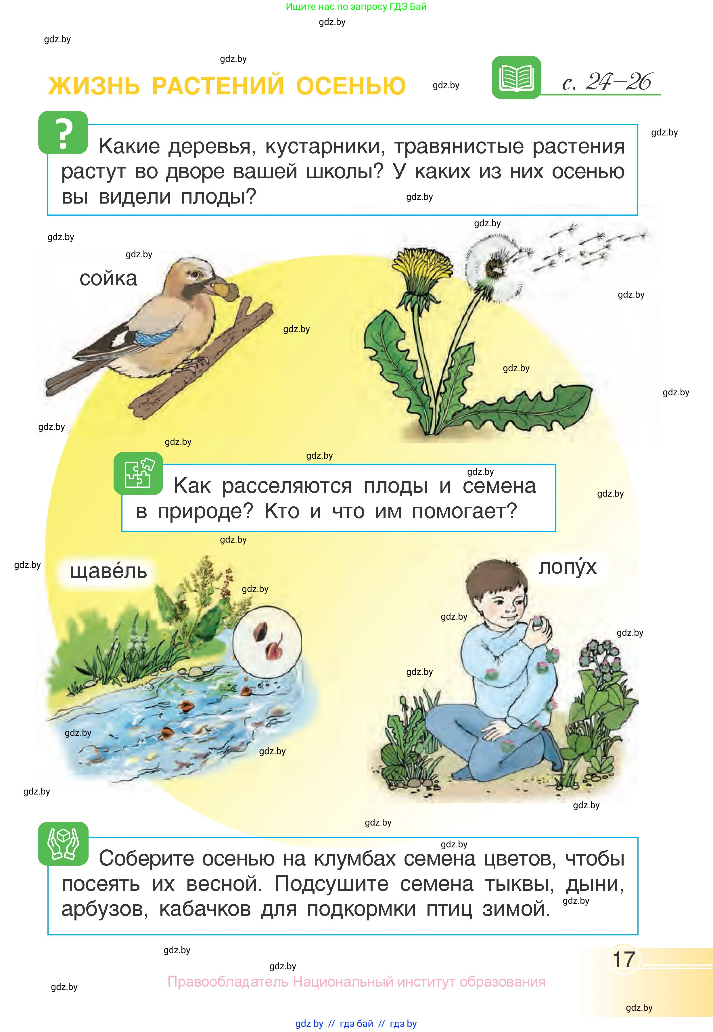 Человек и мир, 1 класс Учебник, авторы: Трафимова Галина Владимировна, Трафимов Сергей Анатольевич, издательство Национальный институт образования, Минск, 2023, салатового цвета, страница 17