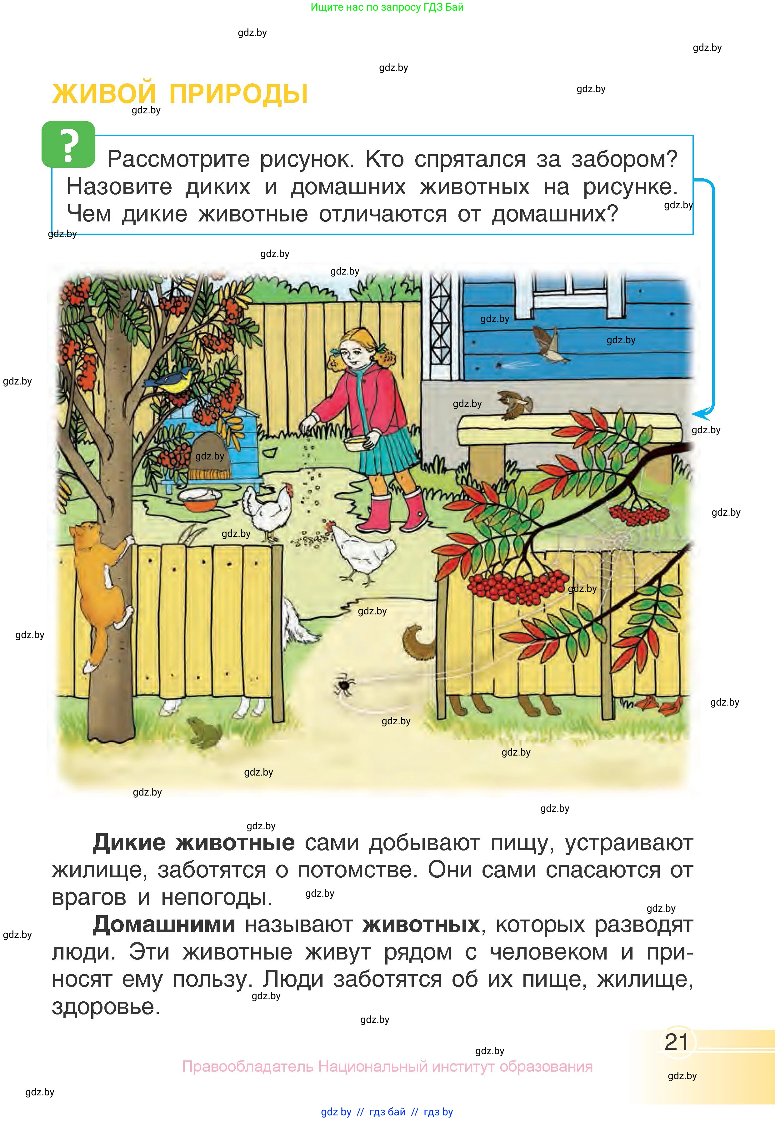 Человек и мир, 1 класс Учебник, авторы: Трафимова Галина Владимировна, Трафимов Сергей Анатольевич, издательство Национальный институт образования, Минск, 2023, салатового цвета, страница 21