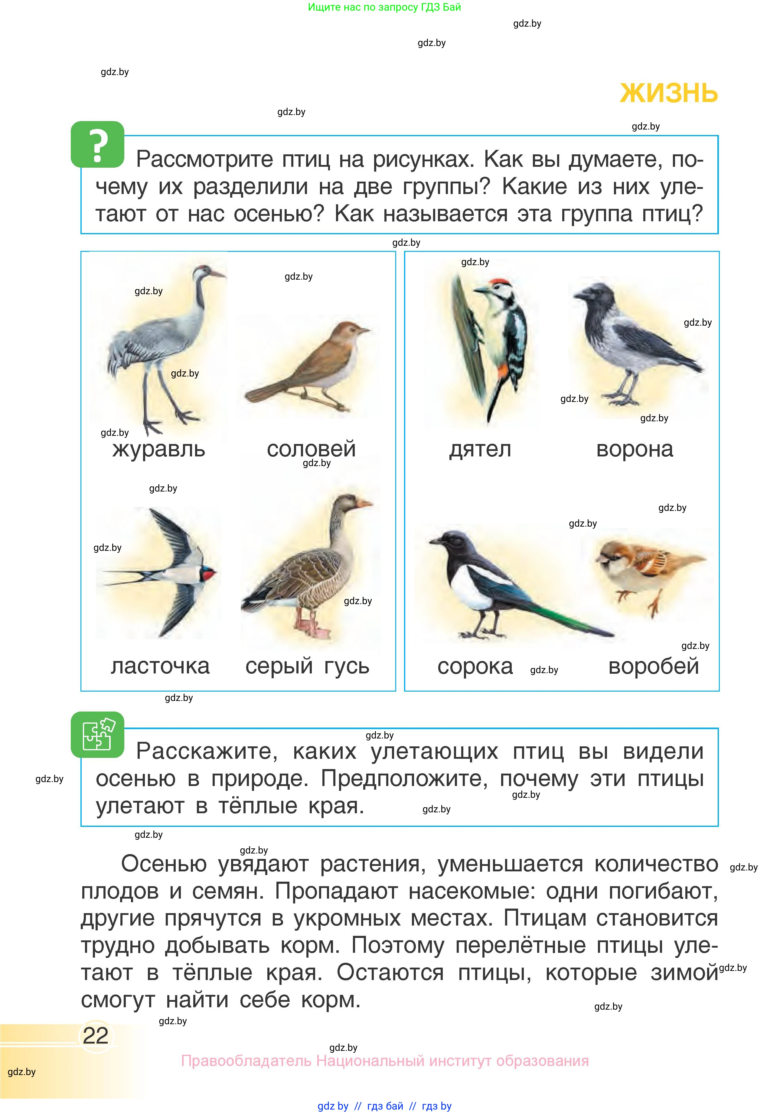 Человек и мир, 1 класс Учебник, авторы: Трафимова Галина Владимировна, Трафимов Сергей Анатольевич, издательство Национальный институт образования, Минск, 2023, салатового цвета, страница 22