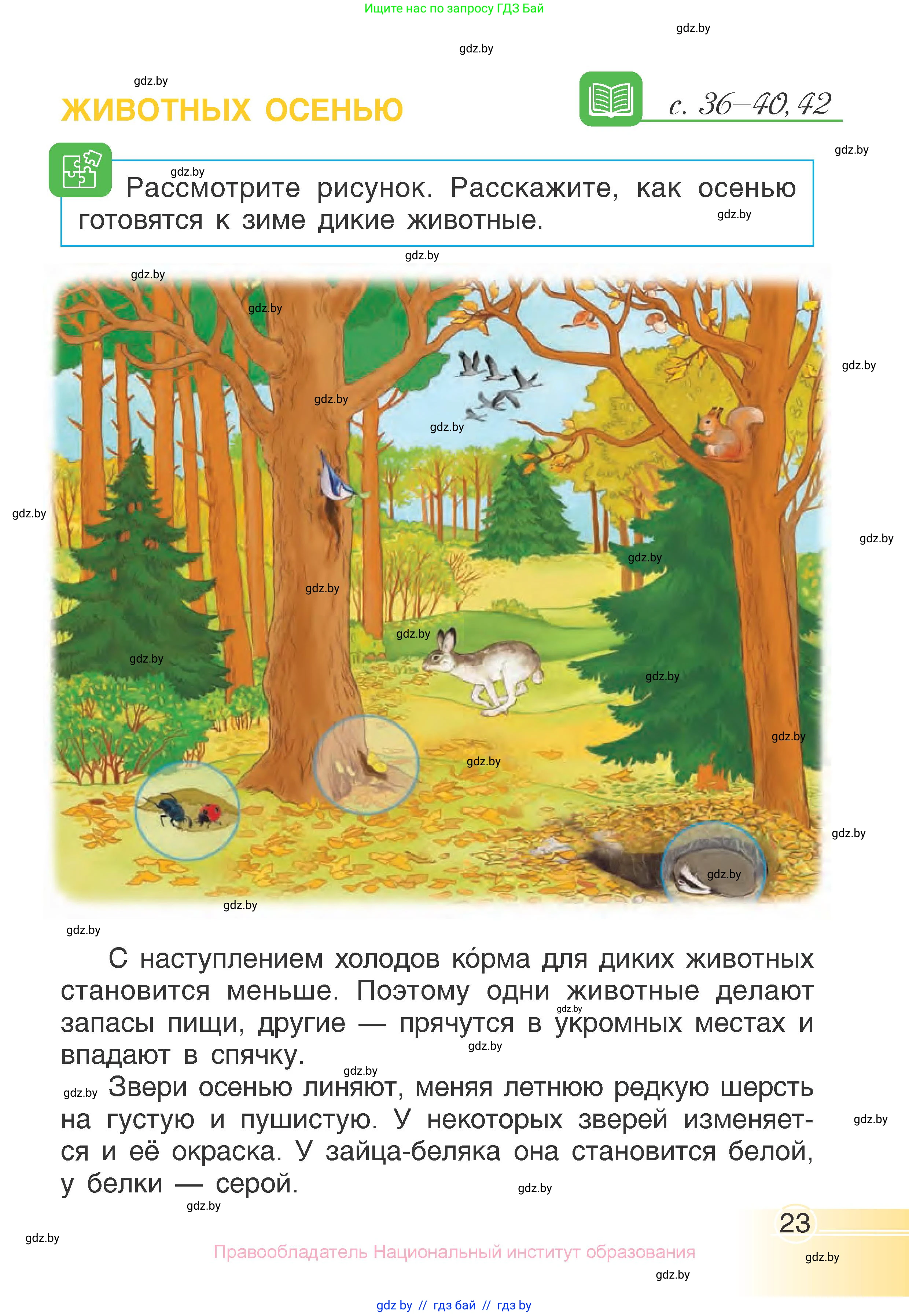 Человек и мир, 1 класс Учебник, авторы: Трафимова Галина Владимировна, Трафимов Сергей Анатольевич, издательство Национальный институт образования, Минск, 2023, салатового цвета, страница 23