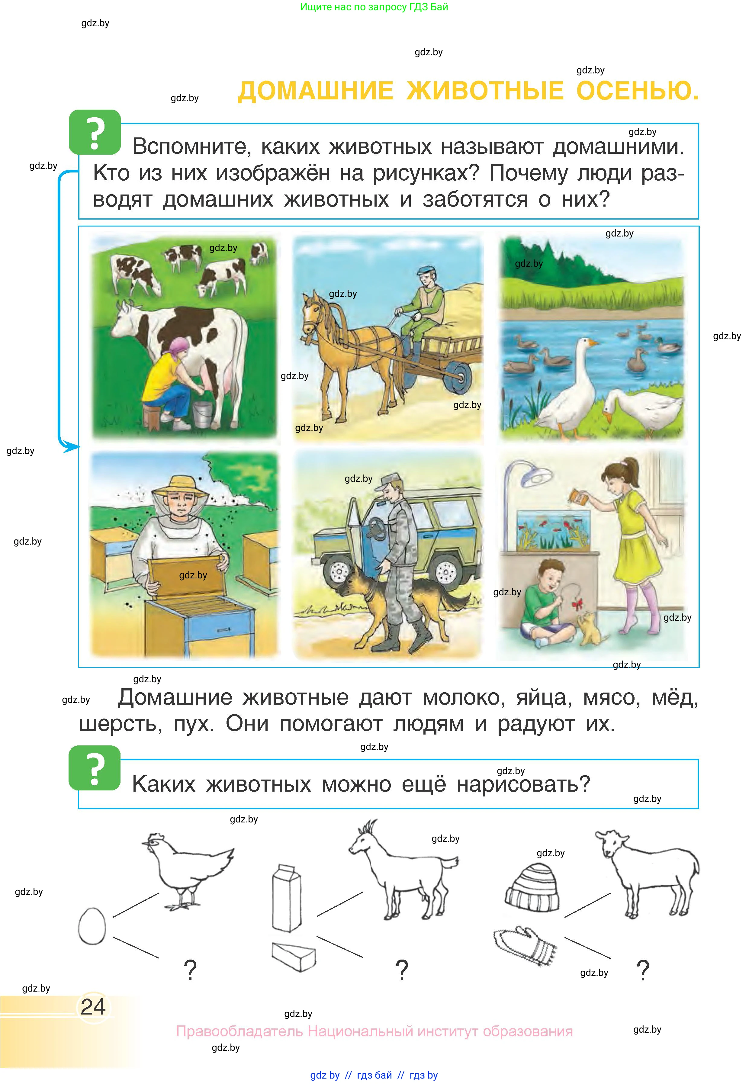 Человек и мир, 1 класс Учебник, авторы: Трафимова Галина Владимировна, Трафимов Сергей Анатольевич, издательство Национальный институт образования, Минск, 2023, салатового цвета, страница 24