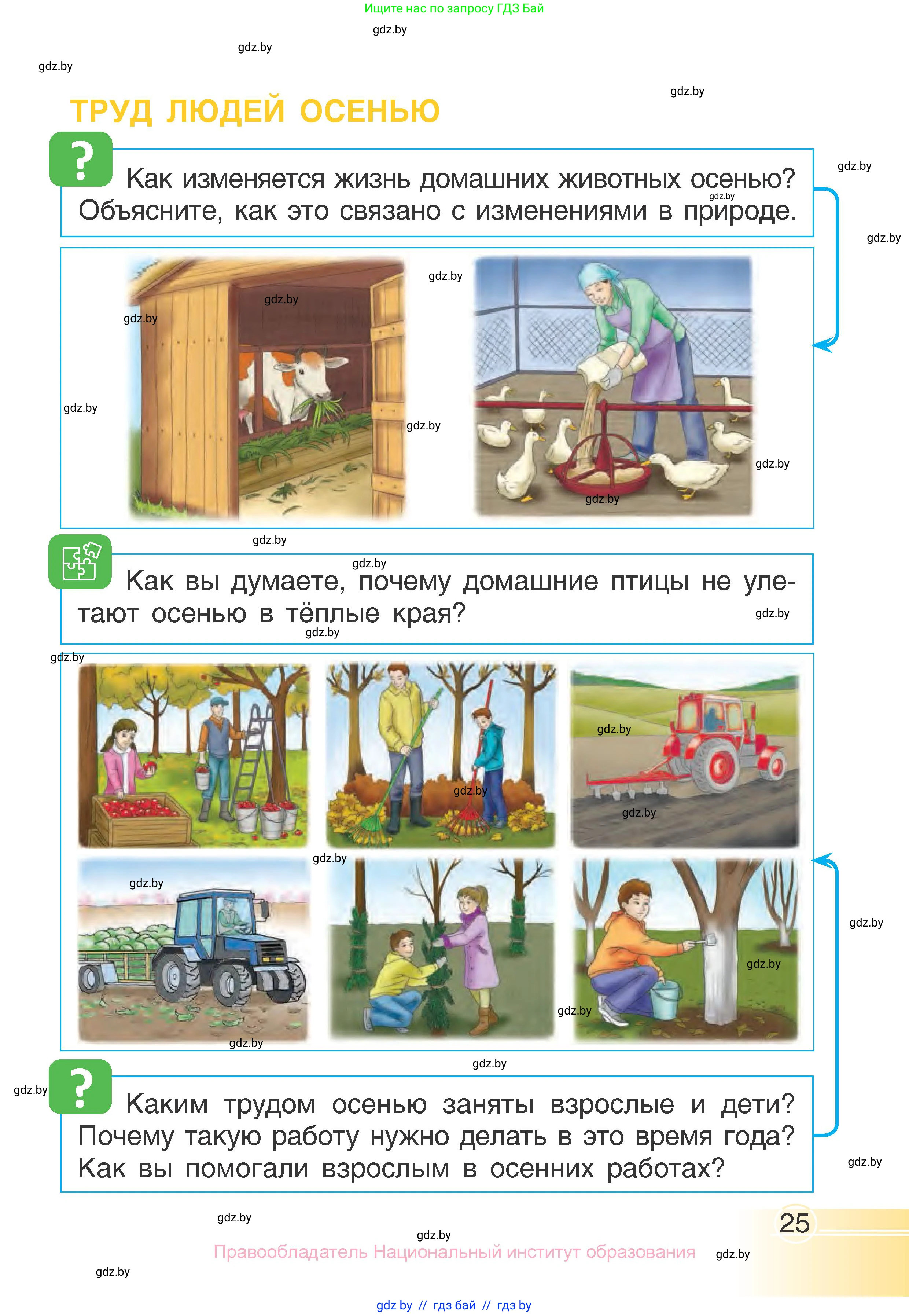 Человек и мир, 1 класс Учебник, авторы: Трафимова Галина Владимировна, Трафимов Сергей Анатольевич, издательство Национальный институт образования, Минск, 2023, салатового цвета, страница 25
