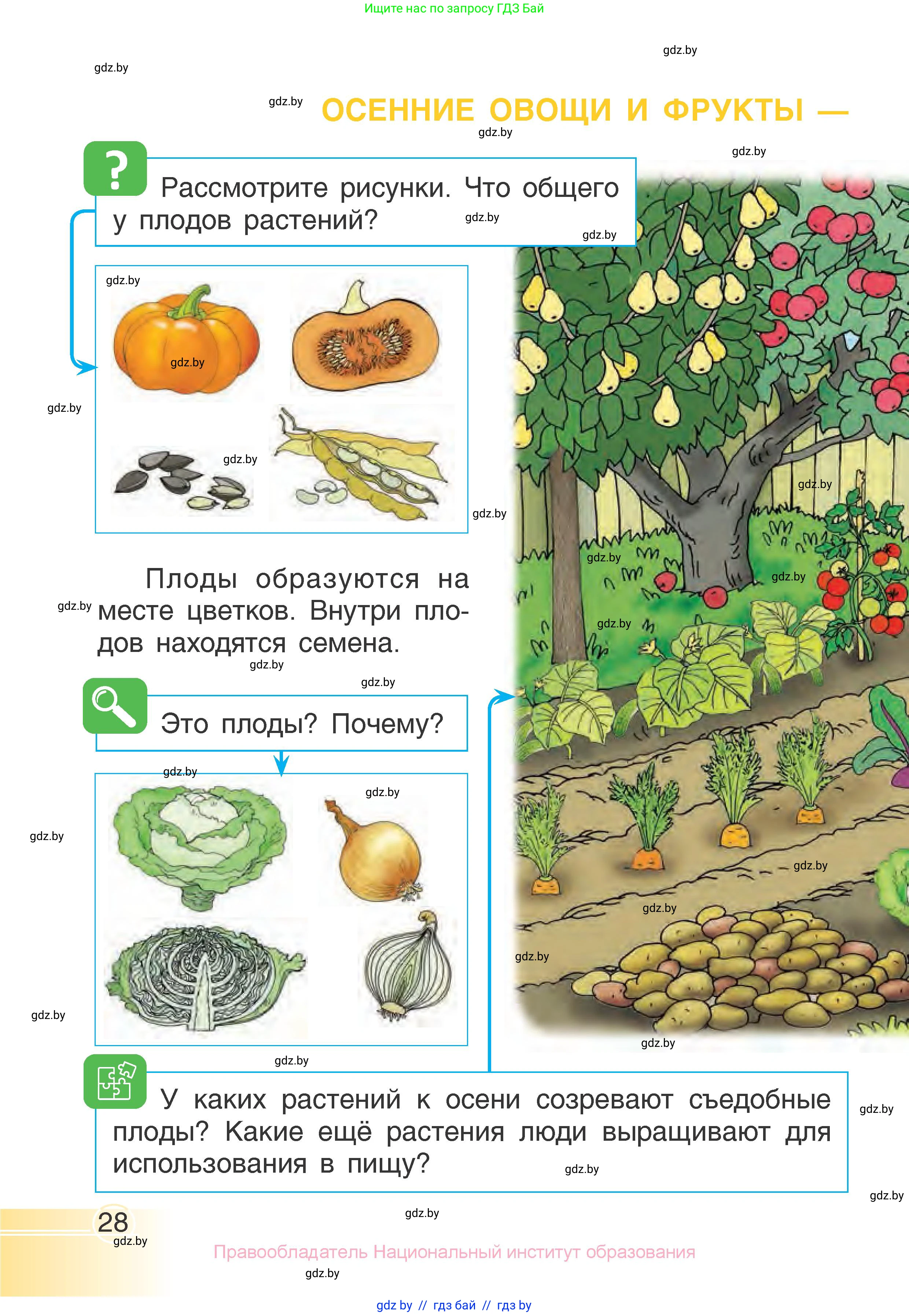 Человек и мир, 1 класс Учебник, авторы: Трафимова Галина Владимировна, Трафимов Сергей Анатольевич, издательство Национальный институт образования, Минск, 2023, салатового цвета, страница 28