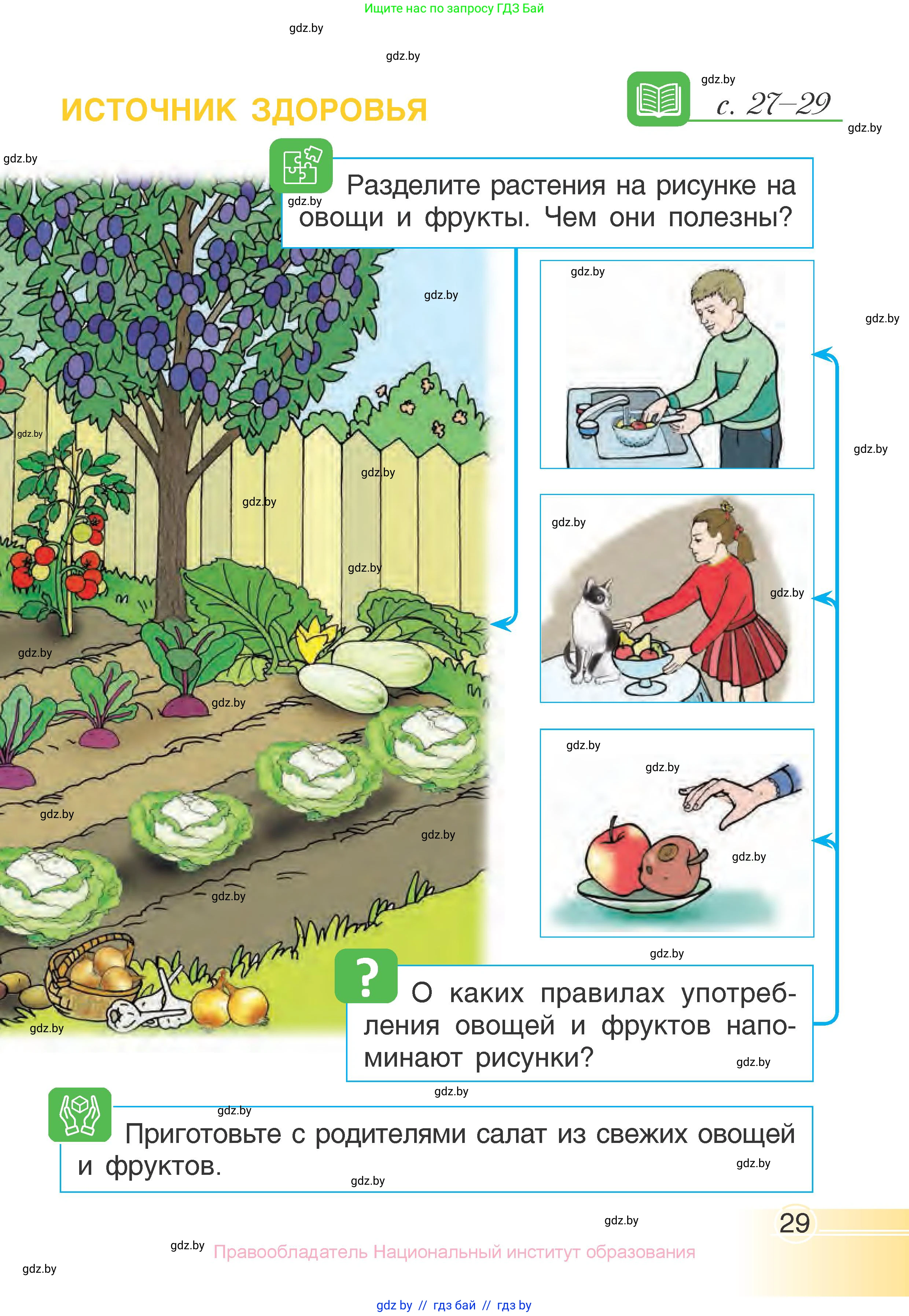 Человек и мир, 1 класс Учебник, авторы: Трафимова Галина Владимировна, Трафимов Сергей Анатольевич, издательство Национальный институт образования, Минск, 2023, салатового цвета, страница 29