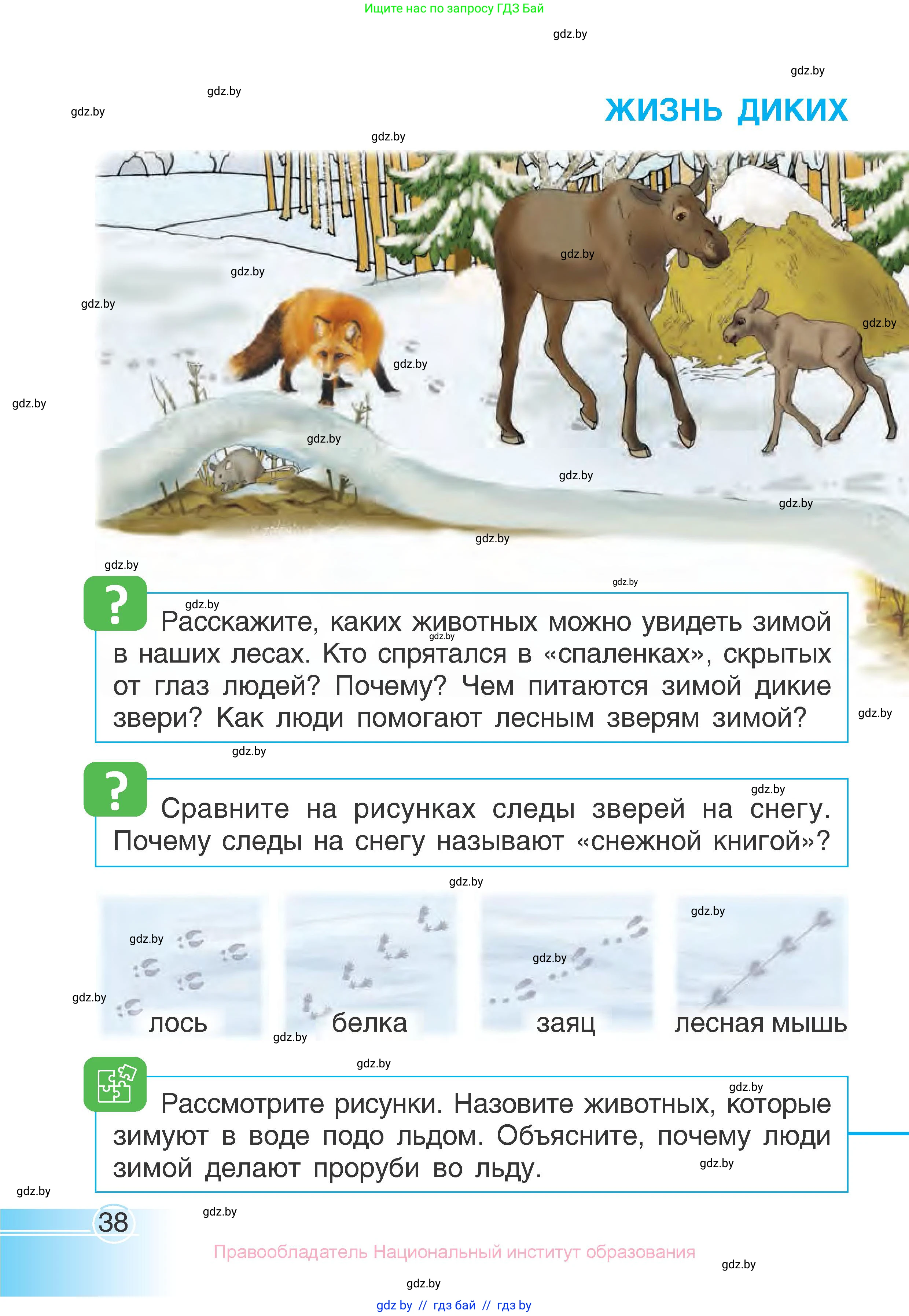 Человек и мир, 1 класс Учебник, авторы: Трафимова Галина Владимировна, Трафимов Сергей Анатольевич, издательство Национальный институт образования, Минск, 2023, салатового цвета, страница 38