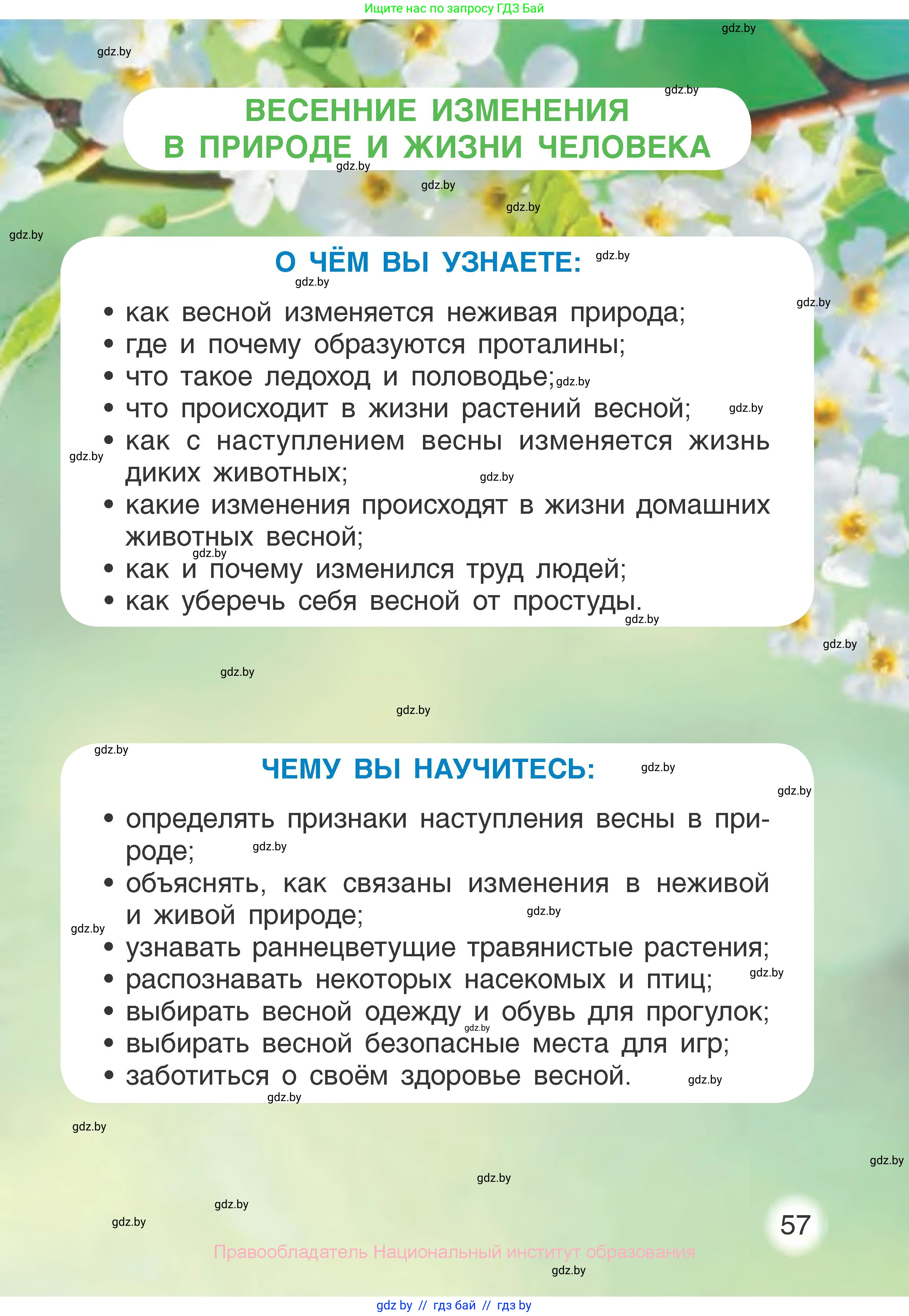 Человек и мир, 1 класс Учебник, авторы: Трафимова Галина Владимировна, Трафимов Сергей Анатольевич, издательство Национальный институт образования, Минск, 2023, салатового цвета, страница 57