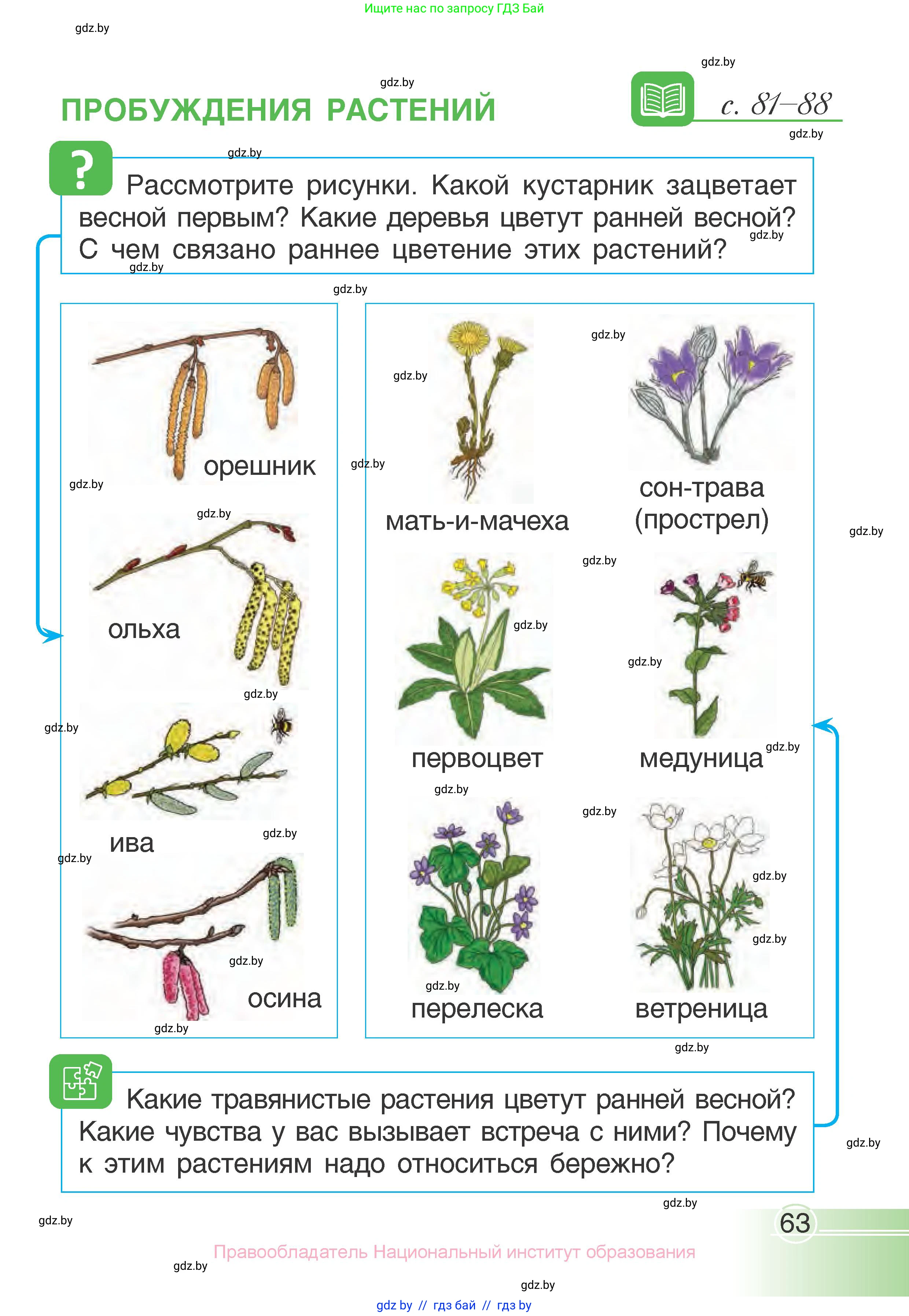 Человек и мир, 1 класс Учебник, авторы: Трафимова Галина Владимировна, Трафимов Сергей Анатольевич, издательство Национальный институт образования, Минск, 2023, салатового цвета, страница 63