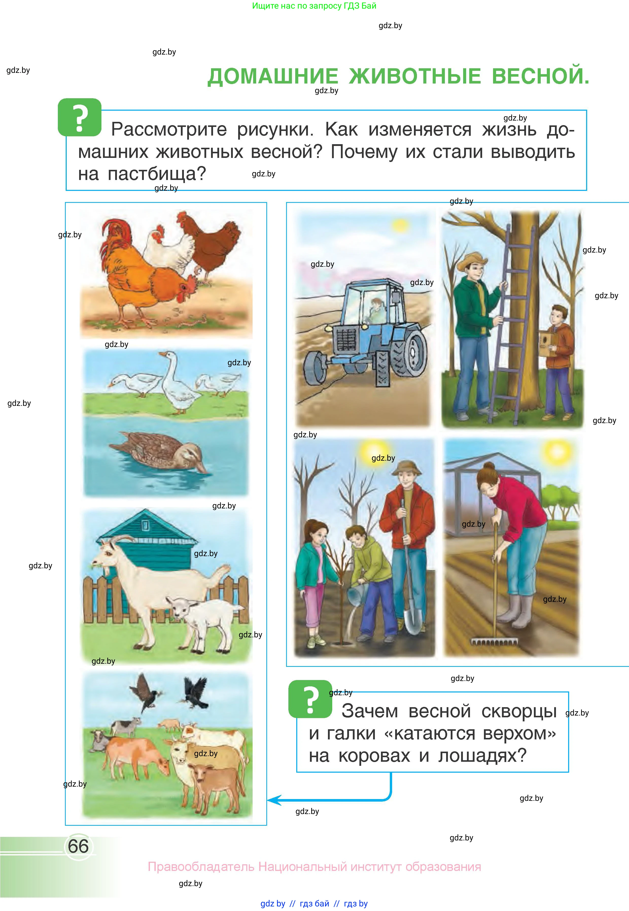 Человек и мир, 1 класс Учебник, авторы: Трафимова Галина Владимировна, Трафимов Сергей Анатольевич, издательство Национальный институт образования, Минск, 2023, салатового цвета, страница 66
