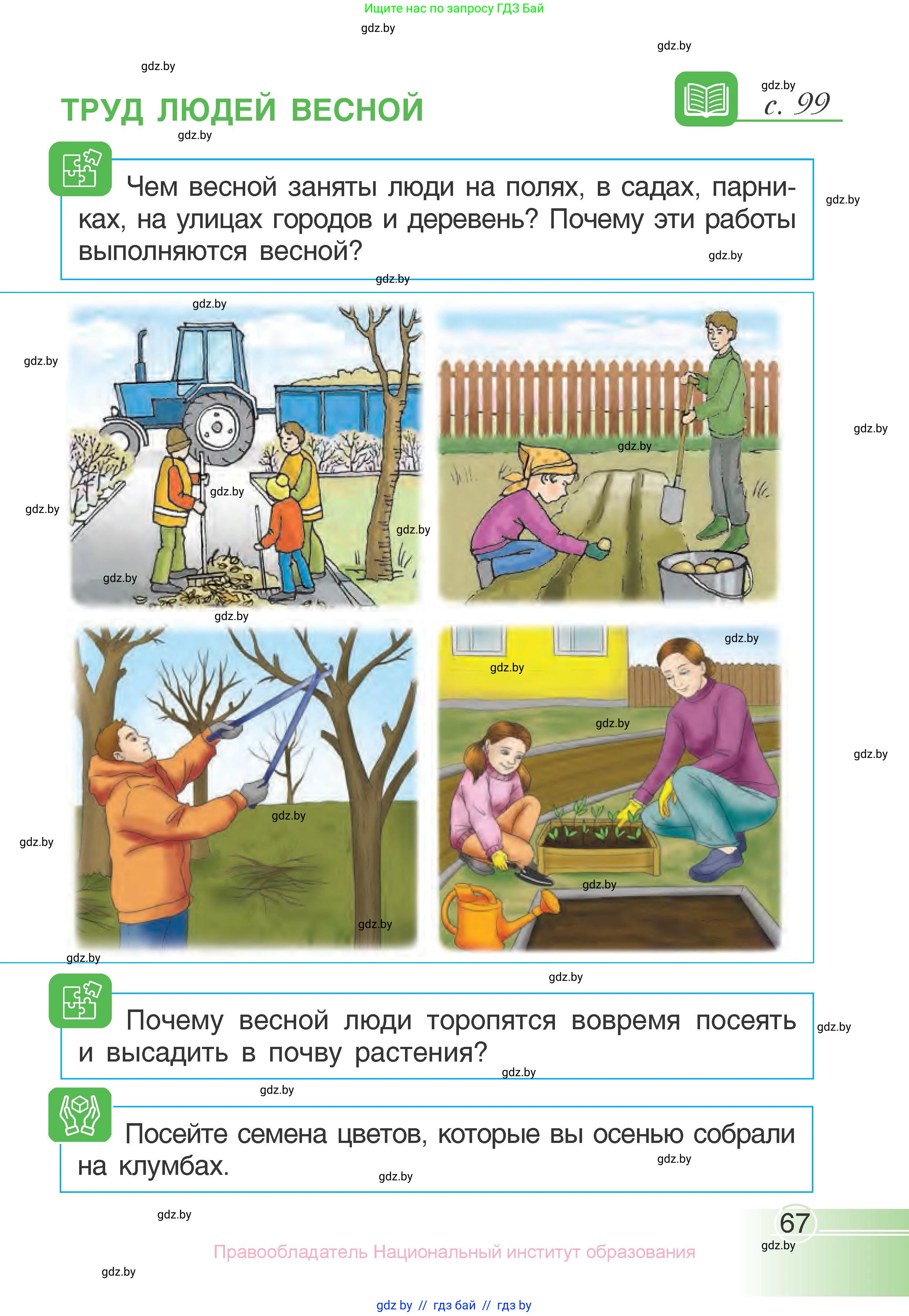 Человек и мир, 1 класс Учебник, авторы: Трафимова Галина Владимировна, Трафимов Сергей Анатольевич, издательство Национальный институт образования, Минск, 2023, салатового цвета, страница 67