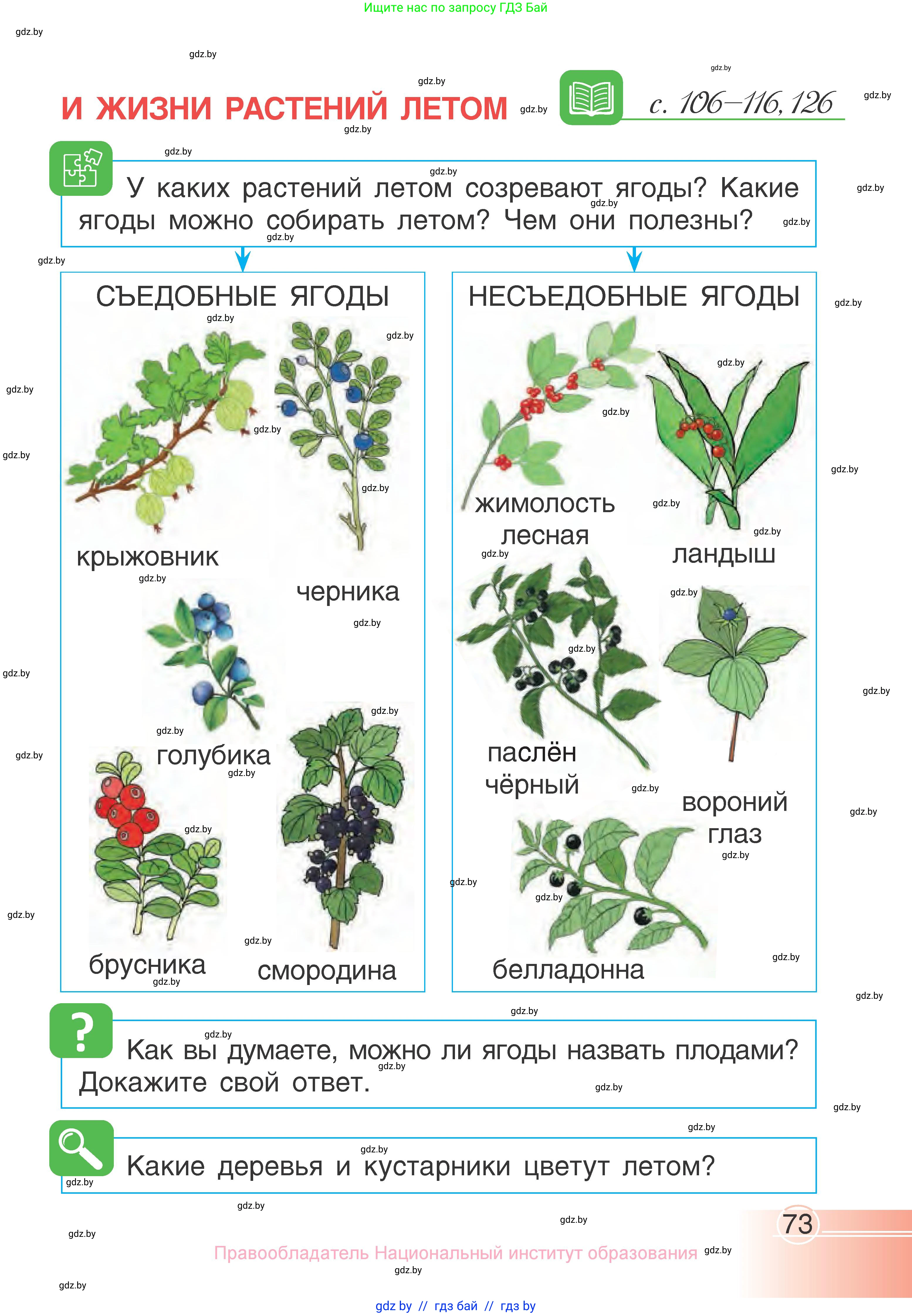 Человек и мир, 1 класс Учебник, авторы: Трафимова Галина Владимировна, Трафимов Сергей Анатольевич, издательство Национальный институт образования, Минск, 2023, салатового цвета, страница 73