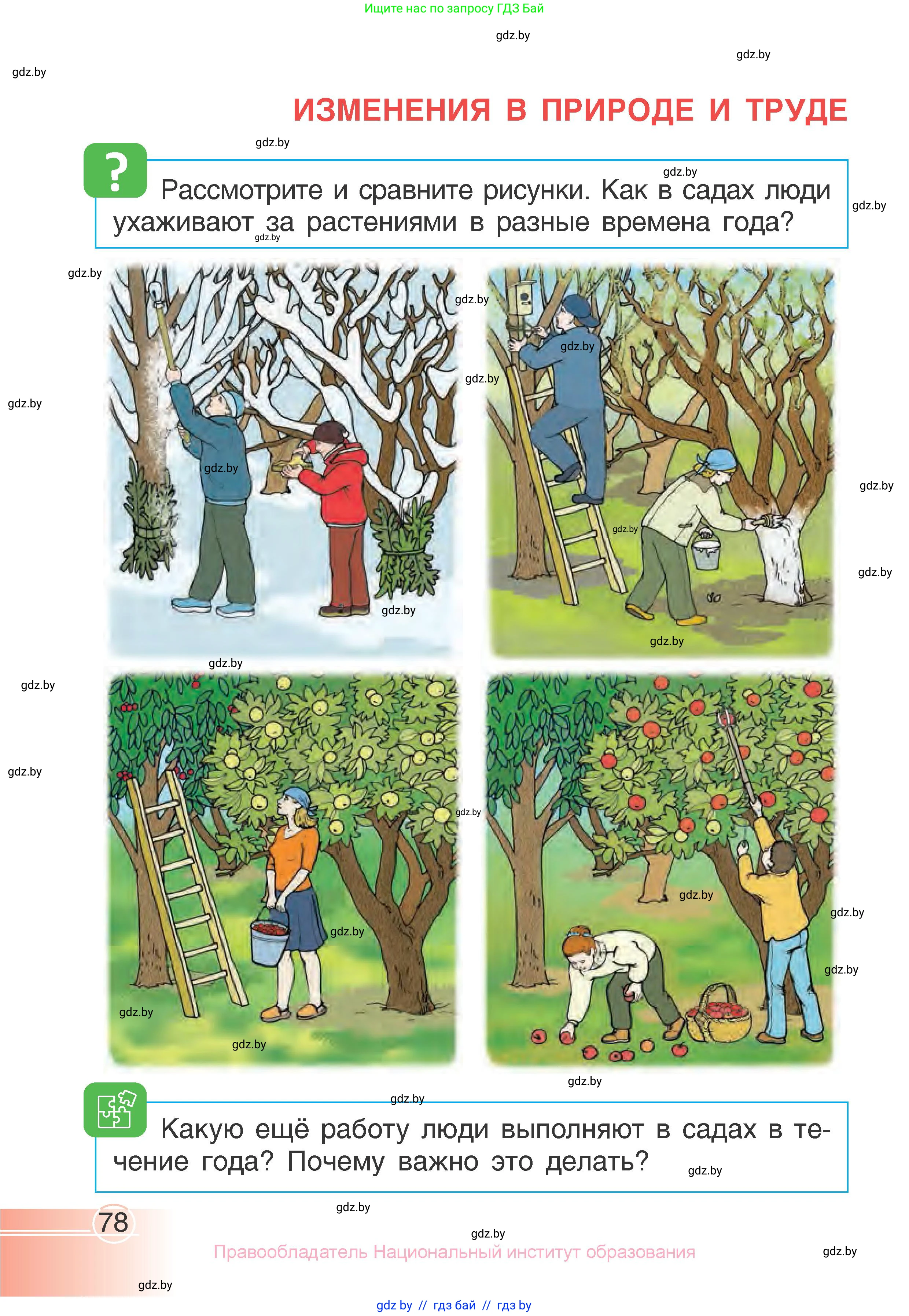 Человек и мир, 1 класс Учебник, авторы: Трафимова Галина Владимировна, Трафимов Сергей Анатольевич, издательство Национальный институт образования, Минск, 2023, салатового цвета, страница 78
