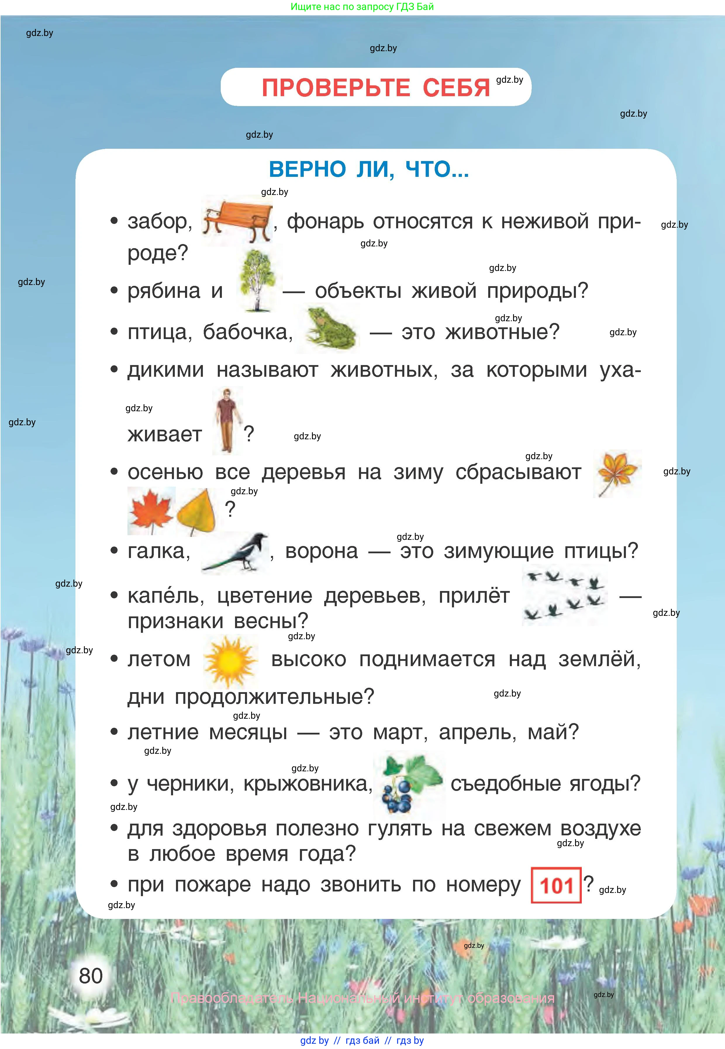 Человек и мир, 1 класс Учебник, авторы: Трафимова Галина Владимировна, Трафимов Сергей Анатольевич, издательство Национальный институт образования, Минск, 2023, салатового цвета, страница 80