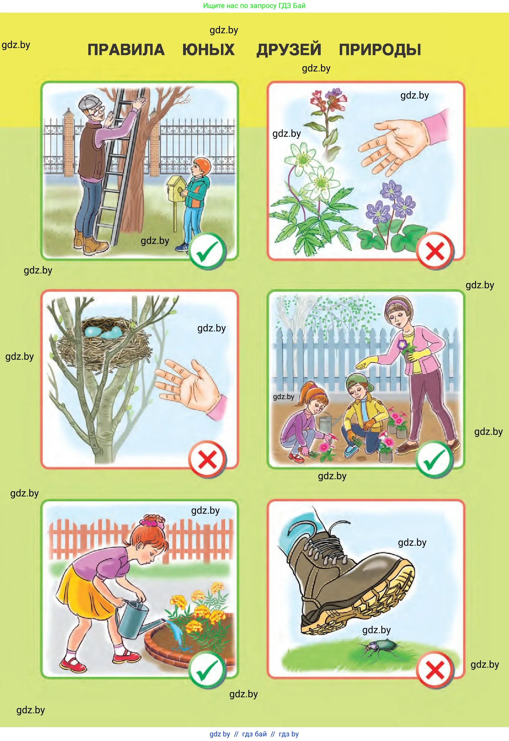 Человек и мир, 1 класс Учебник, авторы: Трафимова Галина Владимировна, Трафимов Сергей Анатольевич, издательство Национальный институт образования, Минск, 2023, салатового цвета, 