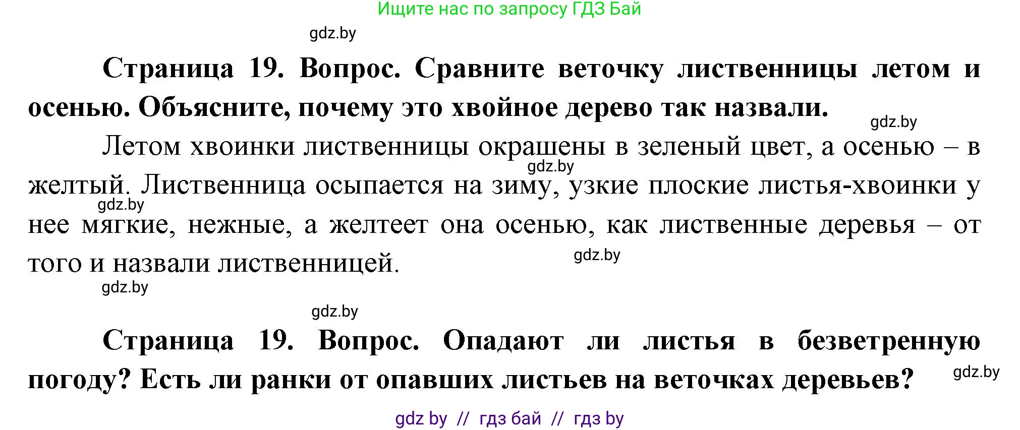 Человек и мир, 1 класс Учебник, авторы: Трафимова Галина Владимировна, Трафимов Сергей Анатольевич, издательство Национальный институт образования, Минск, 2023, салатового цвета, страница 19, Решение