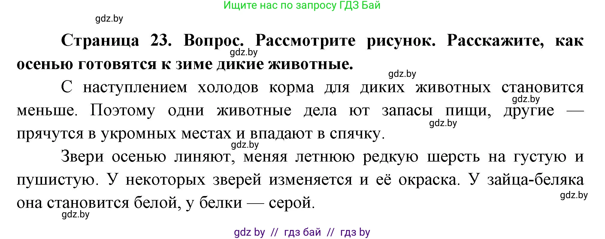 Человек и мир, 1 класс Учебник, авторы: Трафимова Галина Владимировна, Трафимов Сергей Анатольевич, издательство Национальный институт образования, Минск, 2023, салатового цвета, страница 23, Решение
