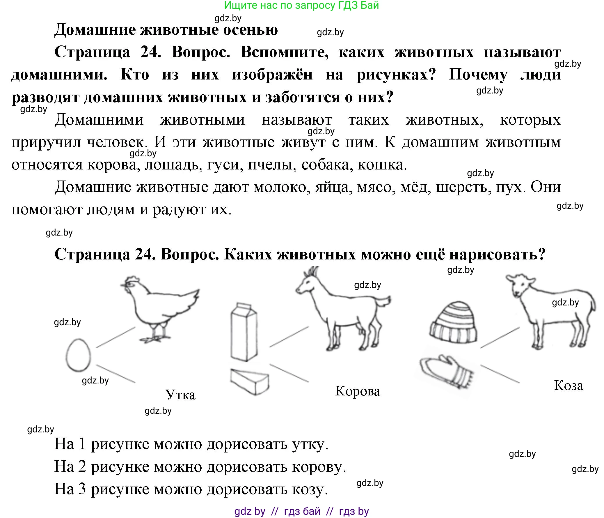 Человек и мир, 1 класс Учебник, авторы: Трафимова Галина Владимировна, Трафимов Сергей Анатольевич, издательство Национальный институт образования, Минск, 2023, салатового цвета, страница 24, Решение