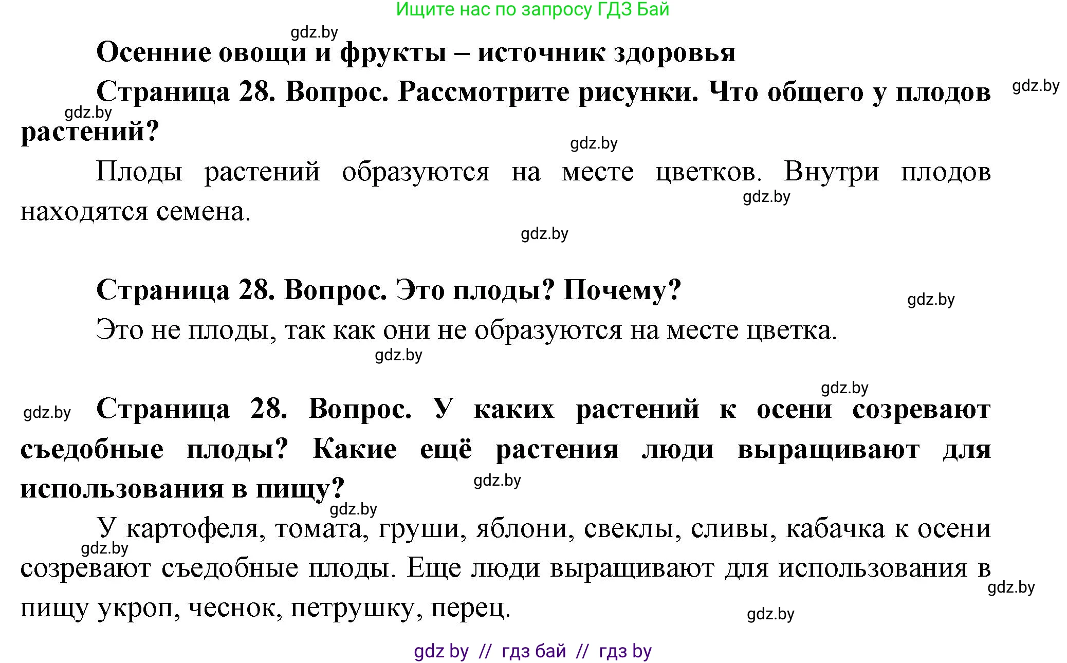 Человек и мир, 1 класс Учебник, авторы: Трафимова Галина Владимировна, Трафимов Сергей Анатольевич, издательство Национальный институт образования, Минск, 2023, салатового цвета, страница 28, Решение
