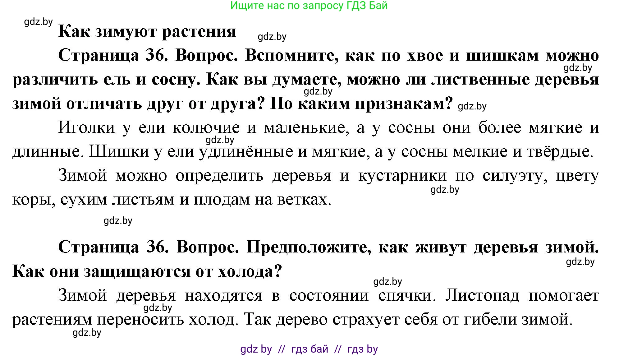 Человек и мир, 1 класс Учебник, авторы: Трафимова Галина Владимировна, Трафимов Сергей Анатольевич, издательство Национальный институт образования, Минск, 2023, салатового цвета, страница 36, Решение