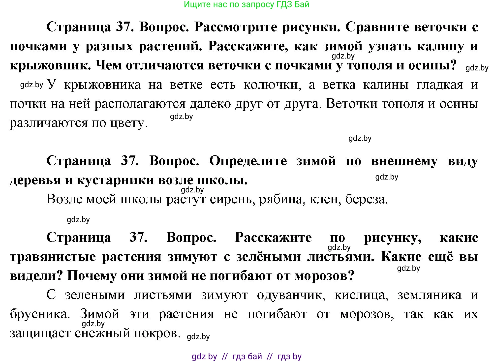 Человек и мир, 1 класс Учебник, авторы: Трафимова Галина Владимировна, Трафимов Сергей Анатольевич, издательство Национальный институт образования, Минск, 2023, салатового цвета, страница 37, Решение