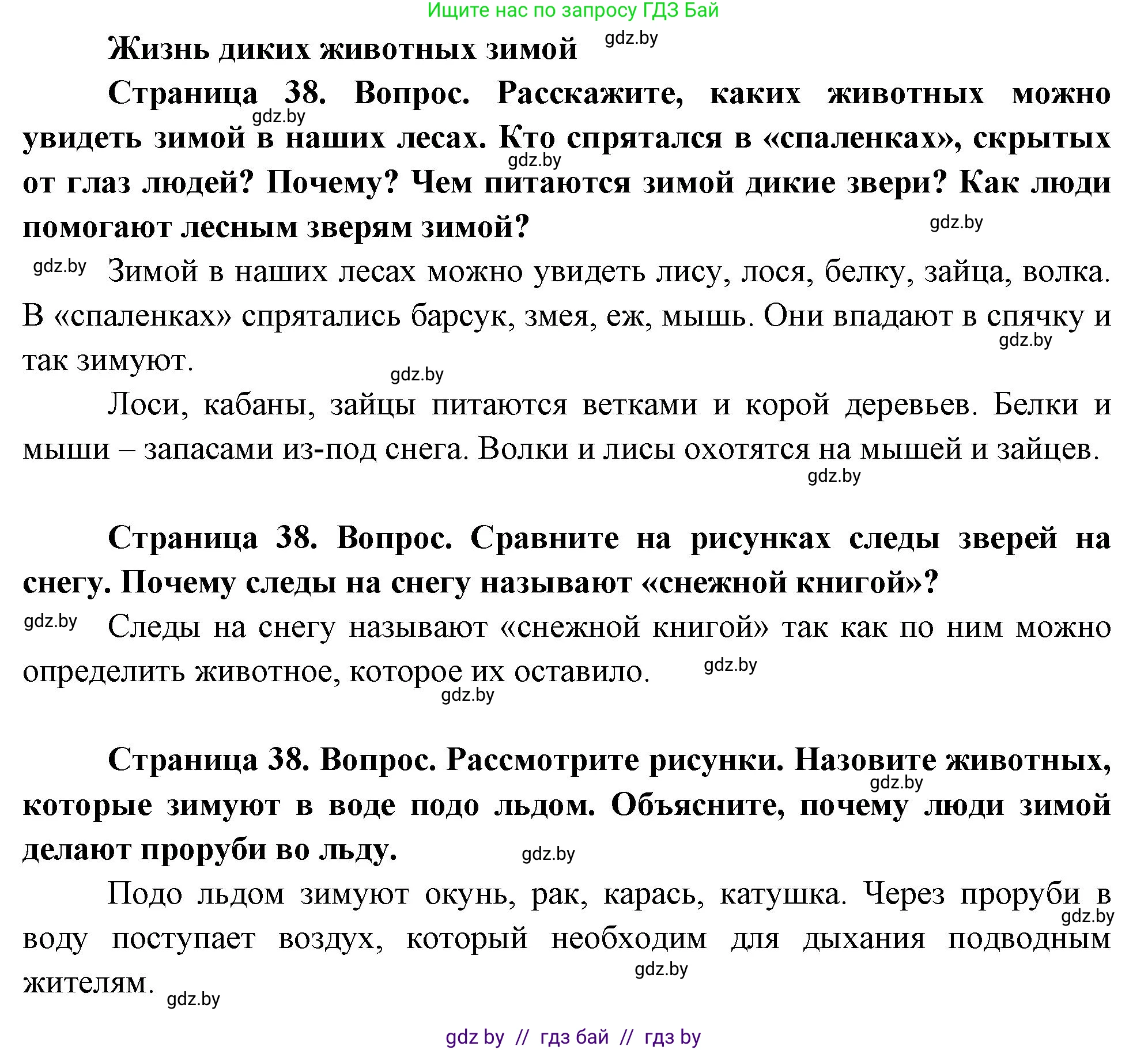 Человек и мир, 1 класс Учебник, авторы: Трафимова Галина Владимировна, Трафимов Сергей Анатольевич, издательство Национальный институт образования, Минск, 2023, салатового цвета, страница 38, Решение