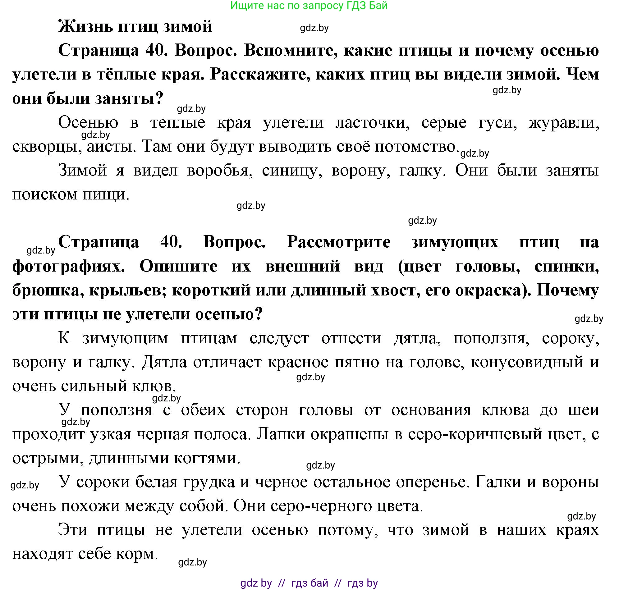 Человек и мир, 1 класс Учебник, авторы: Трафимова Галина Владимировна, Трафимов Сергей Анатольевич, издательство Национальный институт образования, Минск, 2023, салатового цвета, страница 40, Решение