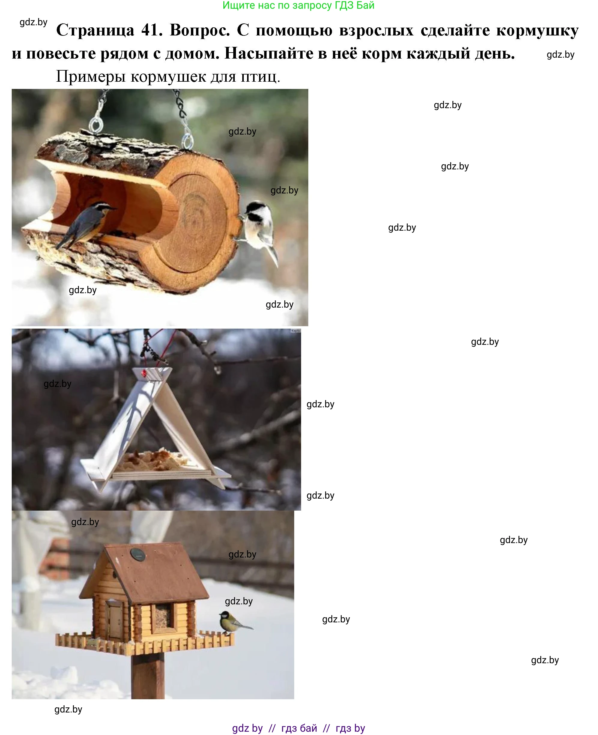 Человек и мир, 1 класс Учебник, авторы: Трафимова Галина Владимировна, Трафимов Сергей Анатольевич, издательство Национальный институт образования, Минск, 2023, салатового цвета, страница 41, Решение (продолжение 2)