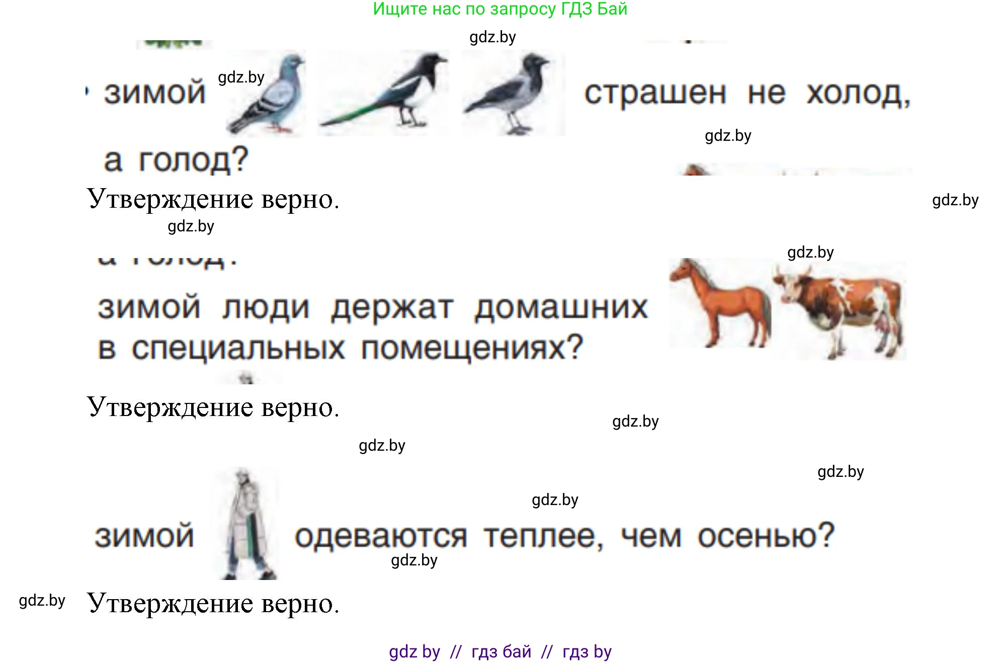 Человек и мир, 1 класс Учебник, авторы: Трафимова Галина Владимировна, Трафимов Сергей Анатольевич, издательство Национальный институт образования, Минск, 2023, салатового цвета, страница 48, Решение (продолжение 2)