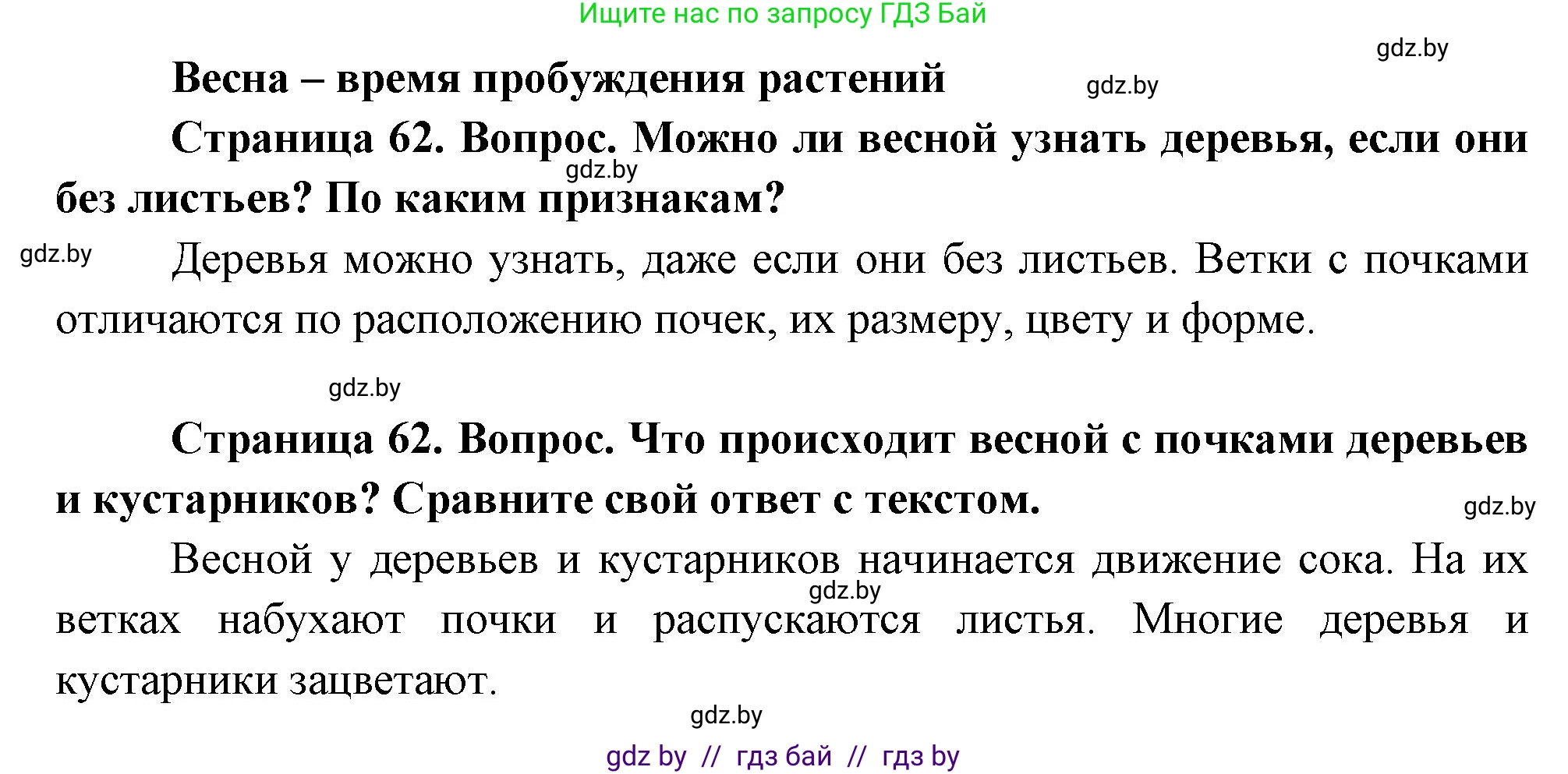 Человек и мир, 1 класс Учебник, авторы: Трафимова Галина Владимировна, Трафимов Сергей Анатольевич, издательство Национальный институт образования, Минск, 2023, салатового цвета, страница 62, Решение