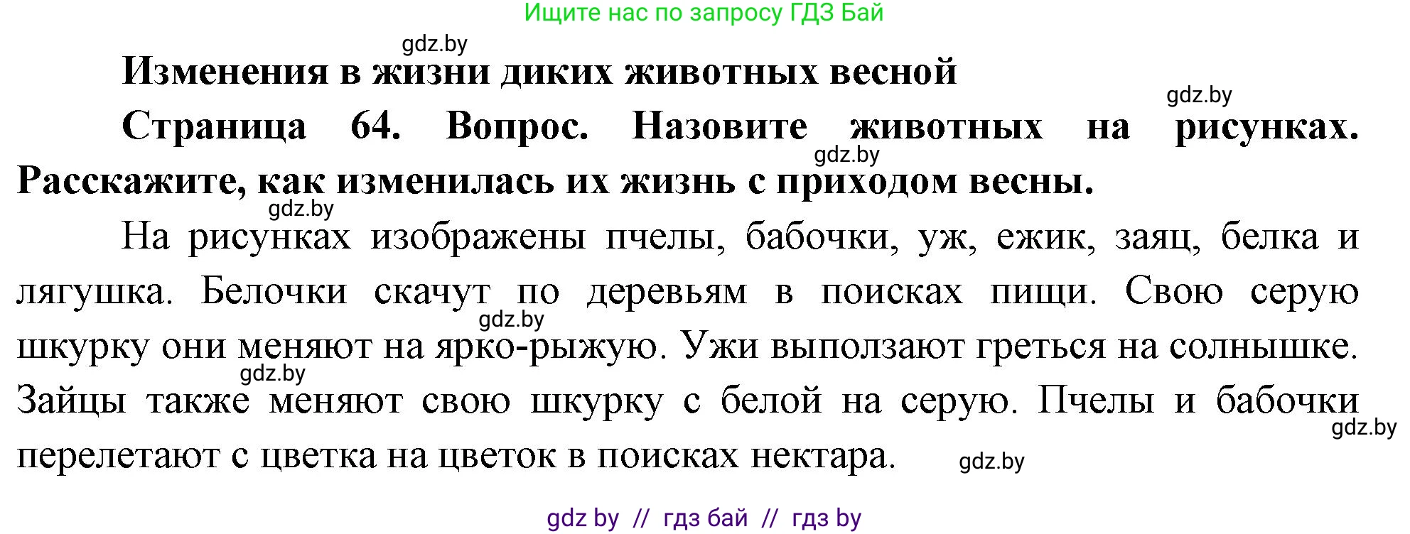 Человек и мир, 1 класс Учебник, авторы: Трафимова Галина Владимировна, Трафимов Сергей Анатольевич, издательство Национальный институт образования, Минск, 2023, салатового цвета, страница 64, Решение