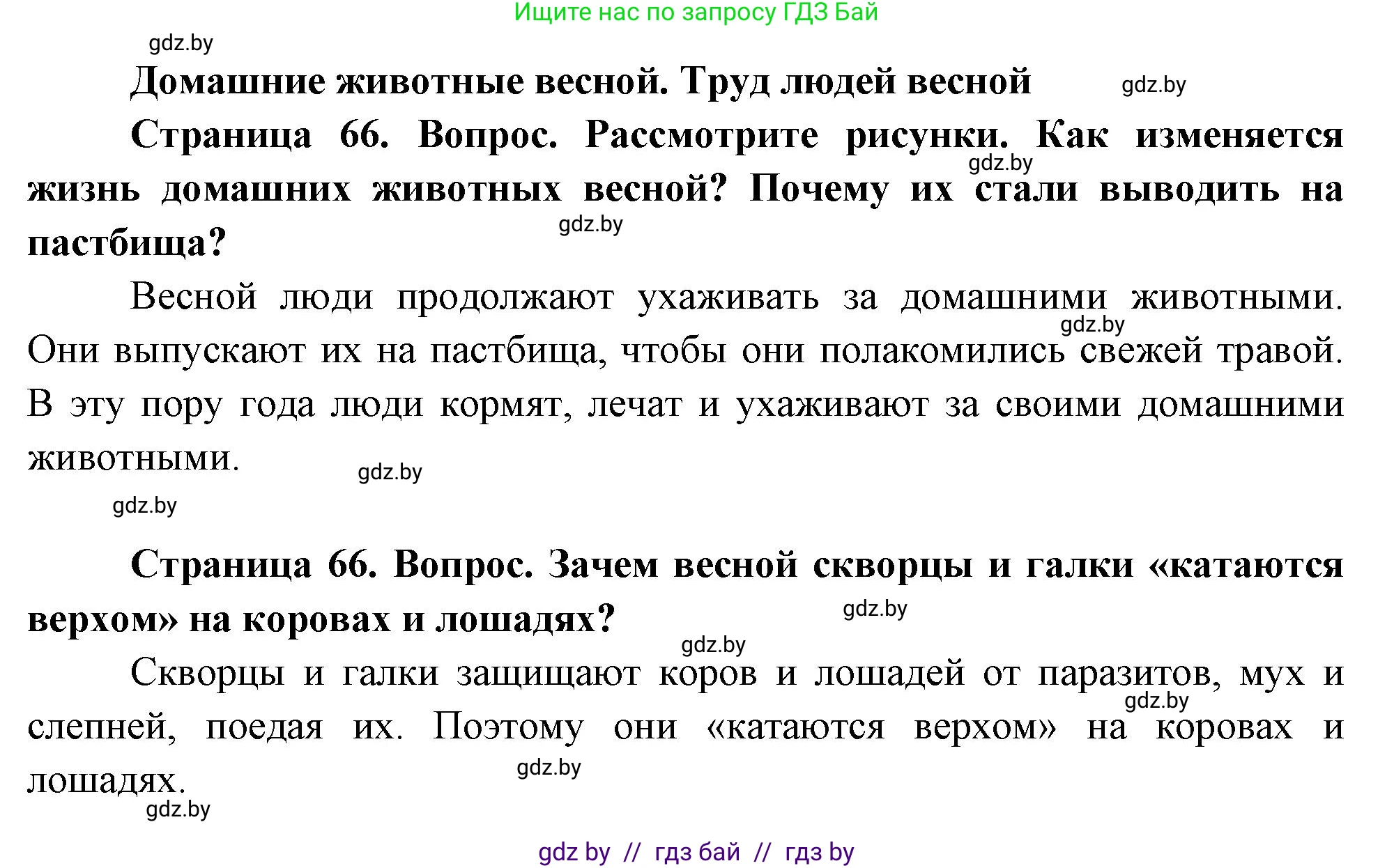 Человек и мир, 1 класс Учебник, авторы: Трафимова Галина Владимировна, Трафимов Сергей Анатольевич, издательство Национальный институт образования, Минск, 2023, салатового цвета, страница 66, Решение